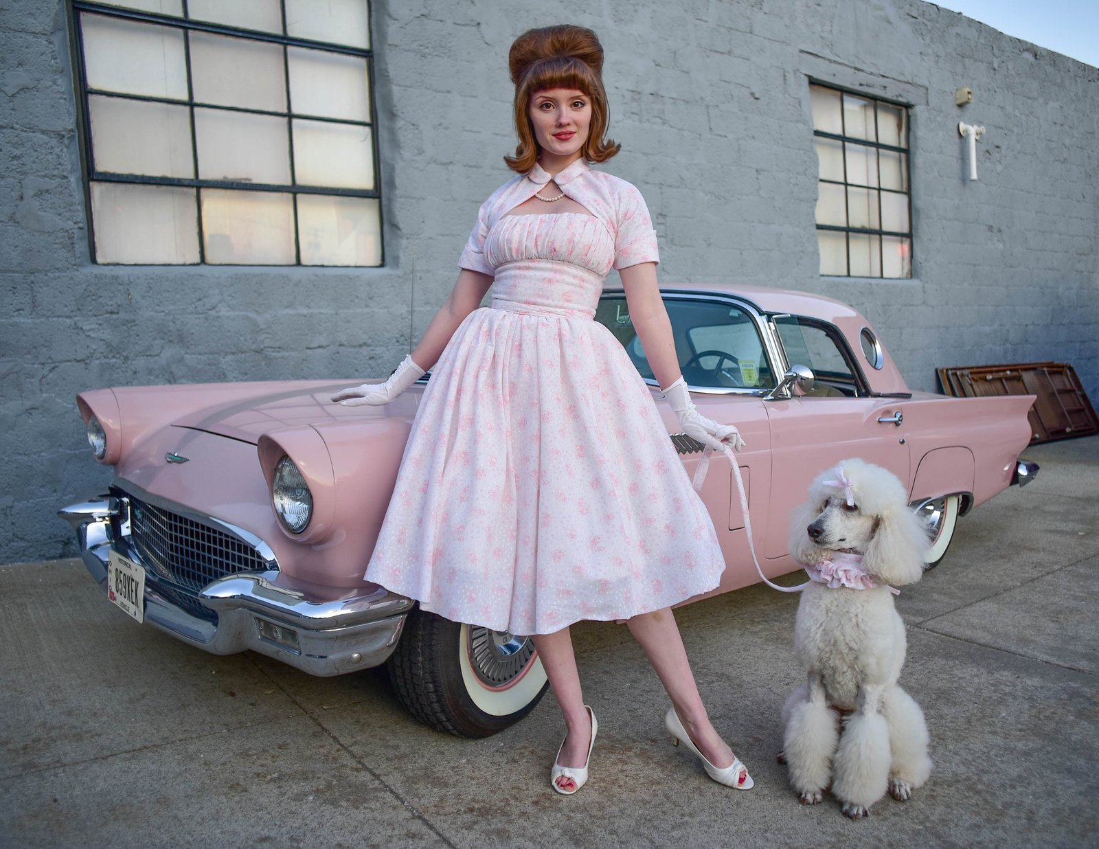 Pin-ups by JW Cooper