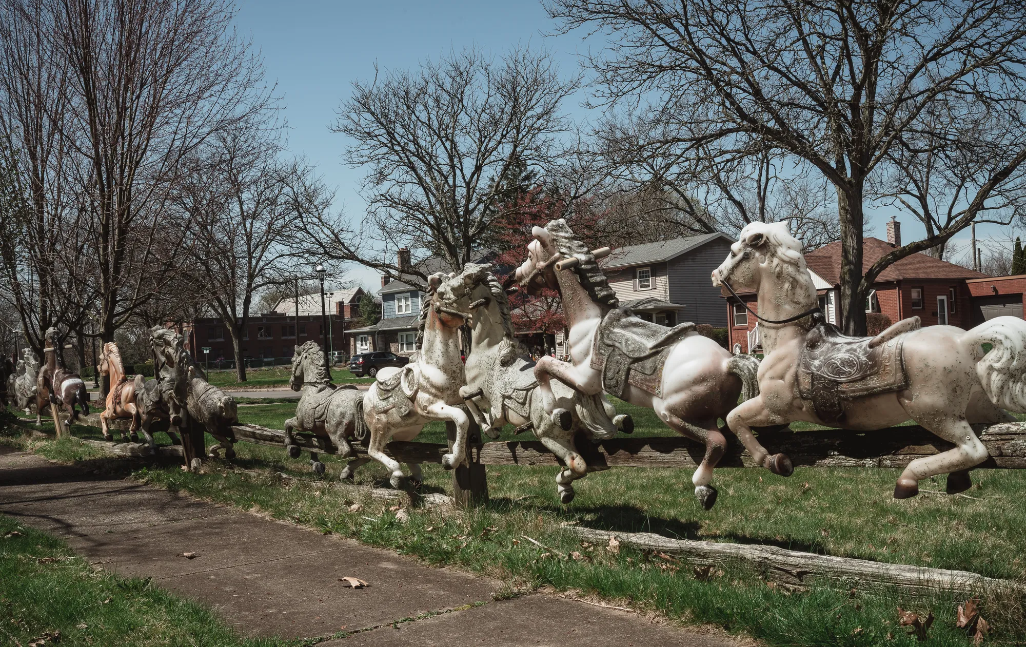 Photograph by JW Cooper