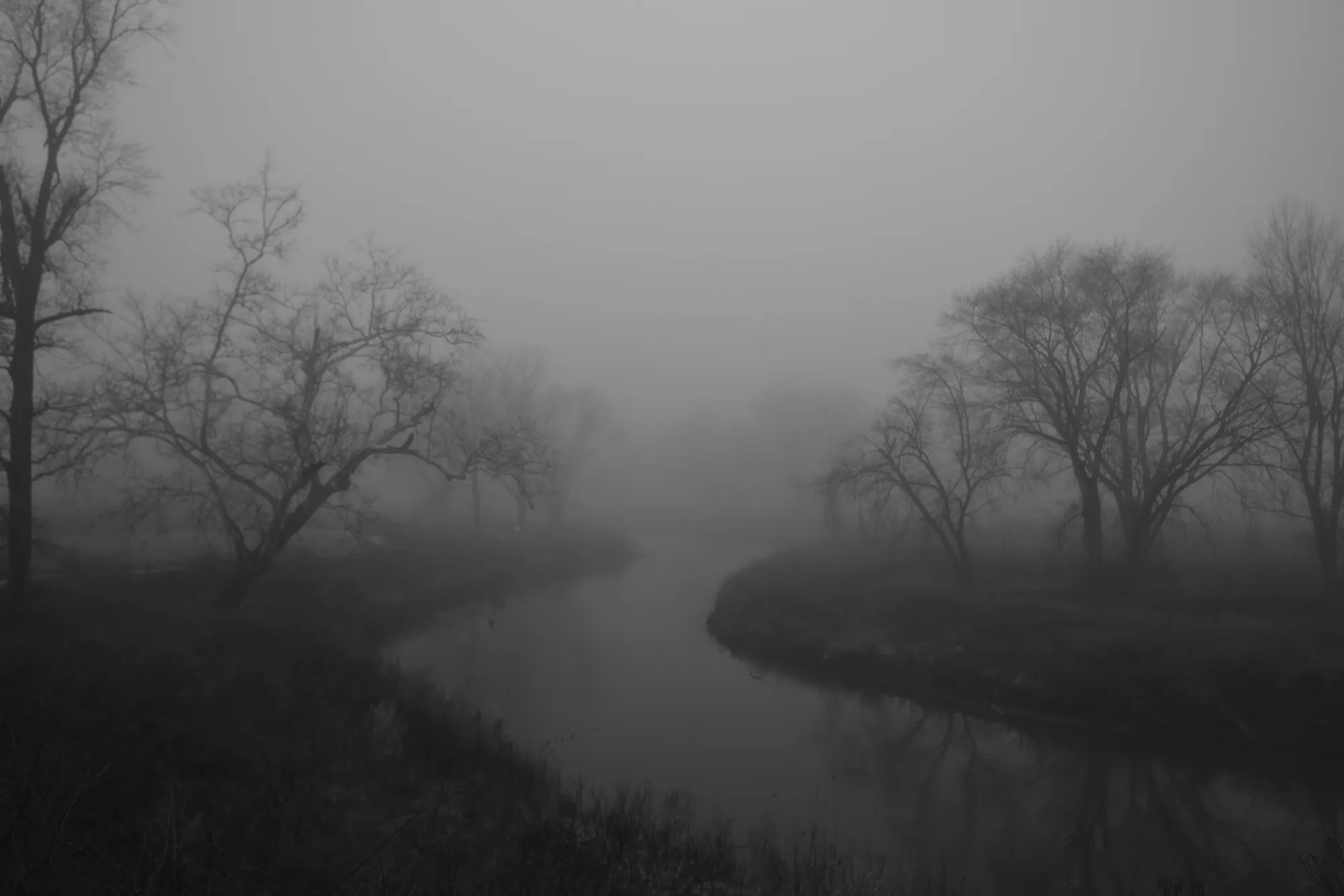 Photograph by JW Cooper