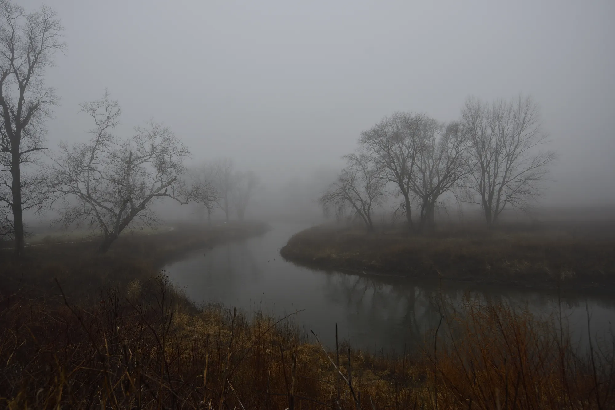 Photograph by JW Cooper