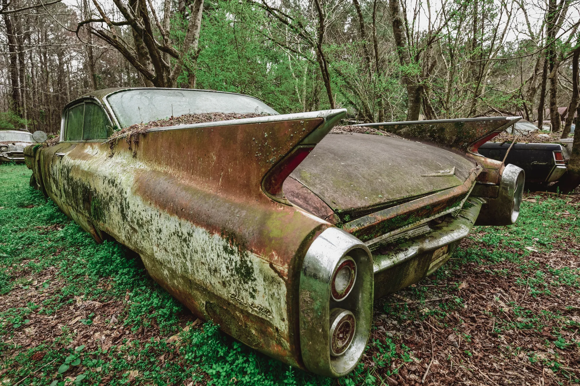 Photograph by JW Cooper