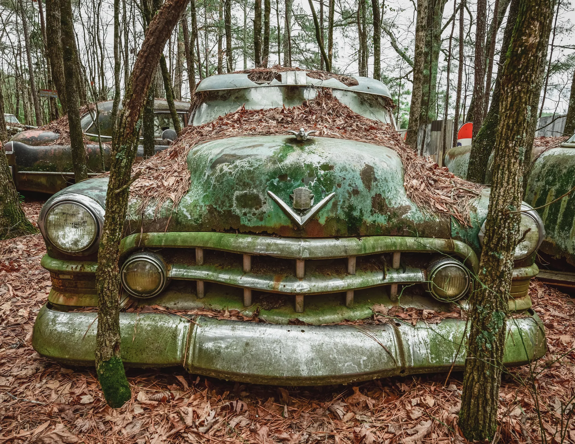 Photograph by JW Cooper