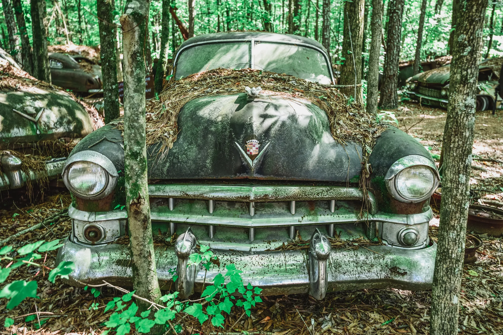Photograph by JW Cooper
