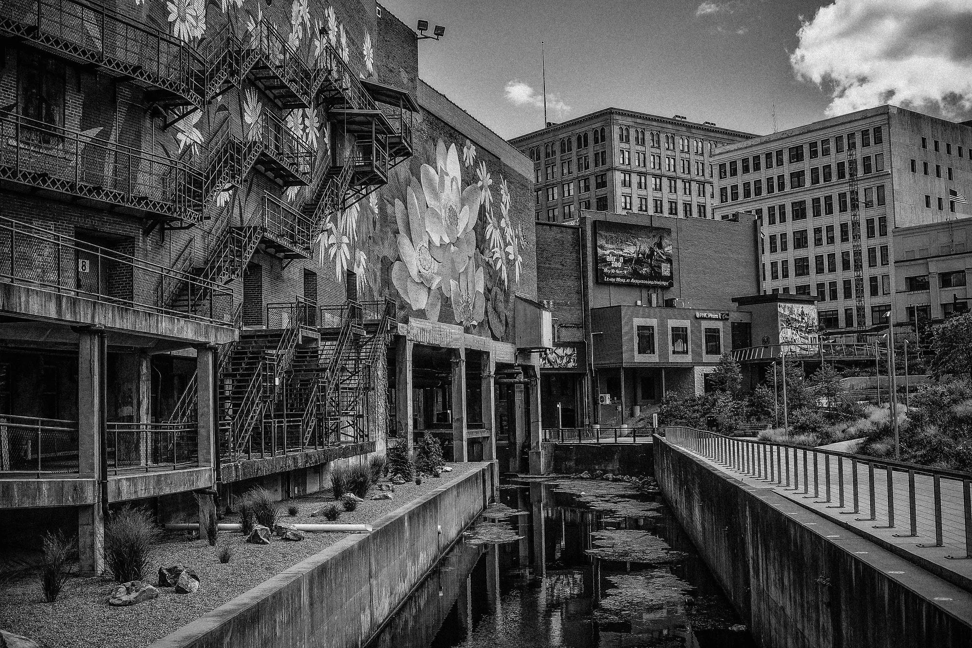 Photograph by JW Cooper