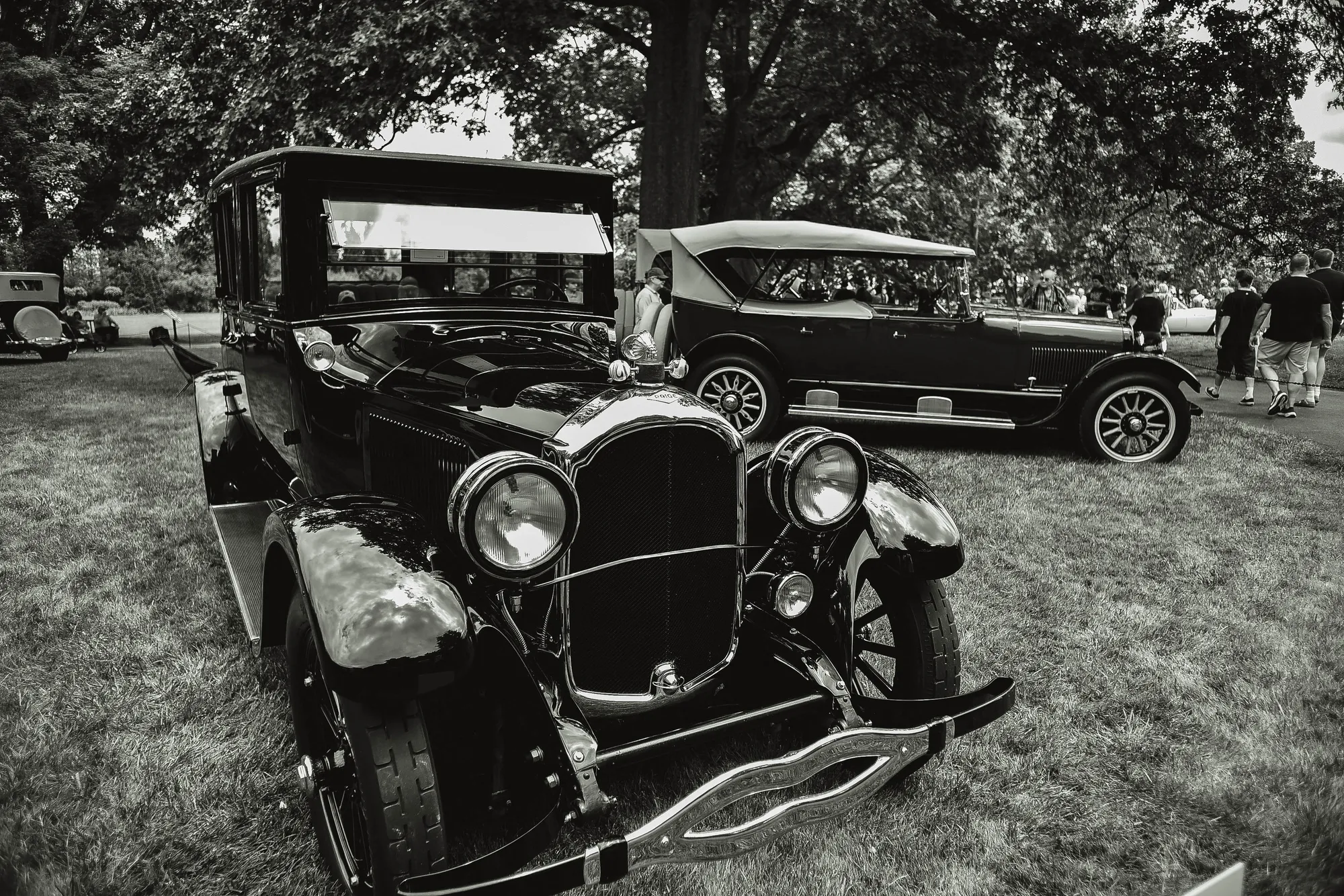 Photograph by JW Cooper
