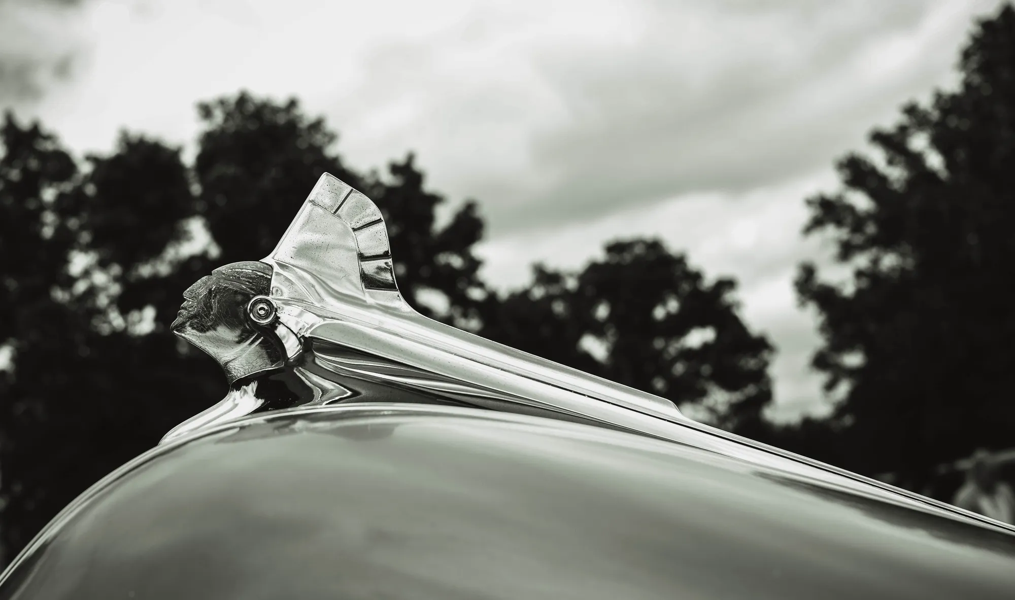 Photograph by JW Cooper