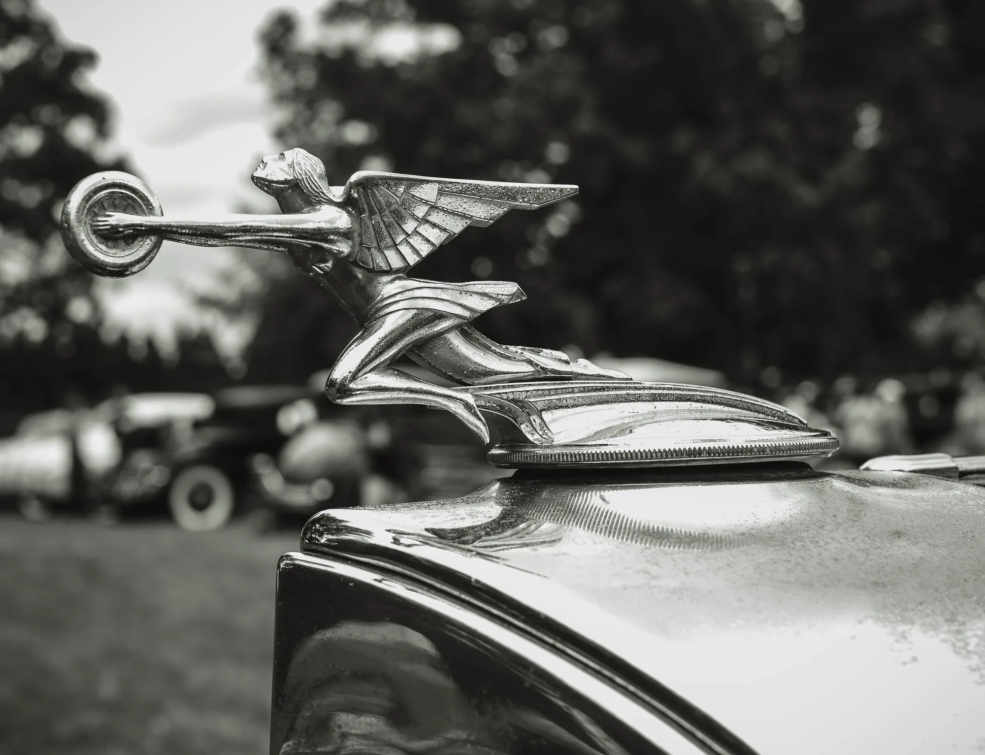 Photograph by JW Cooper