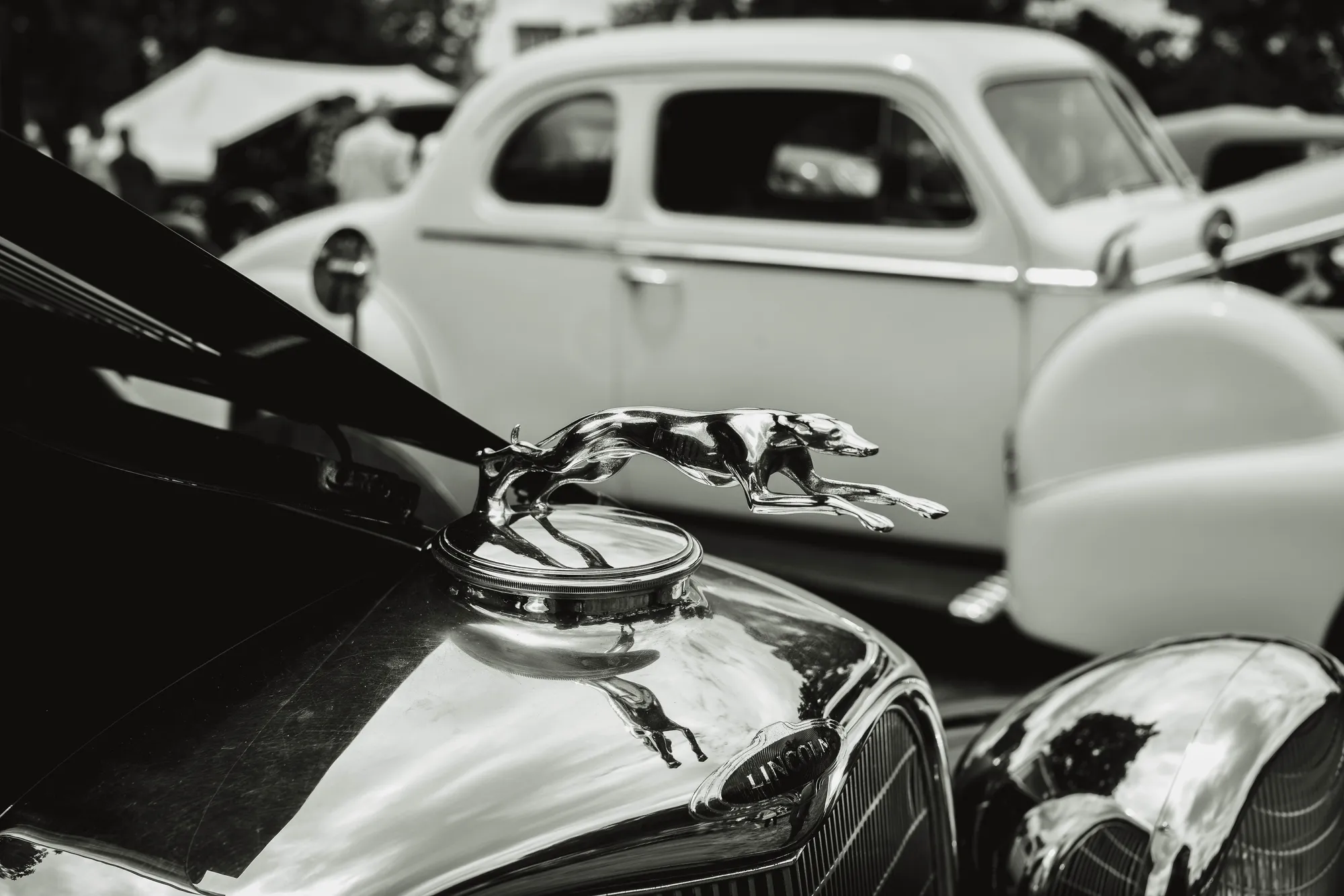 Photograph by JW Cooper