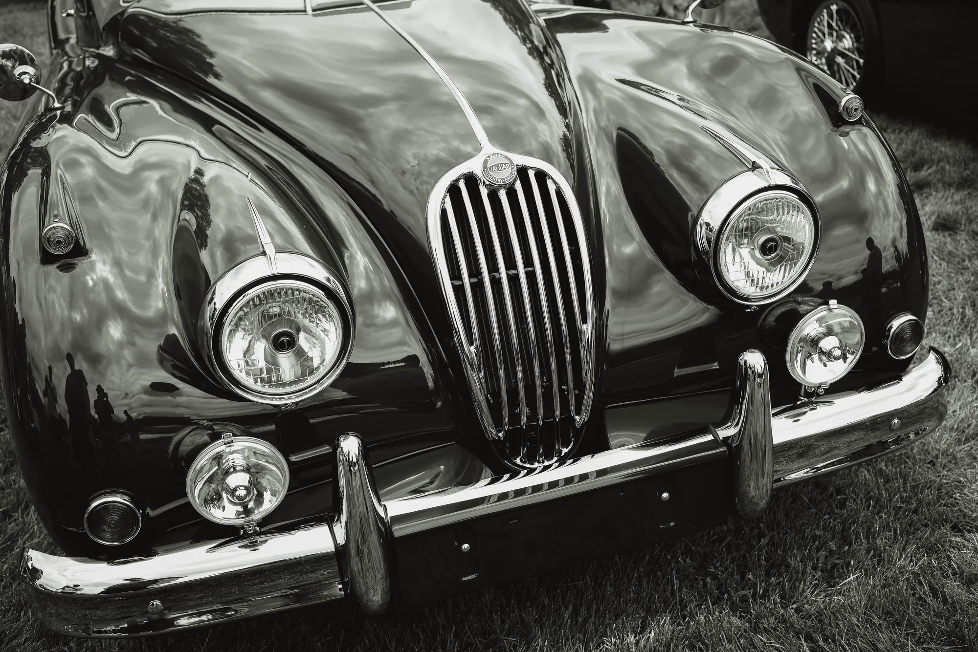Photograph by JW Cooper