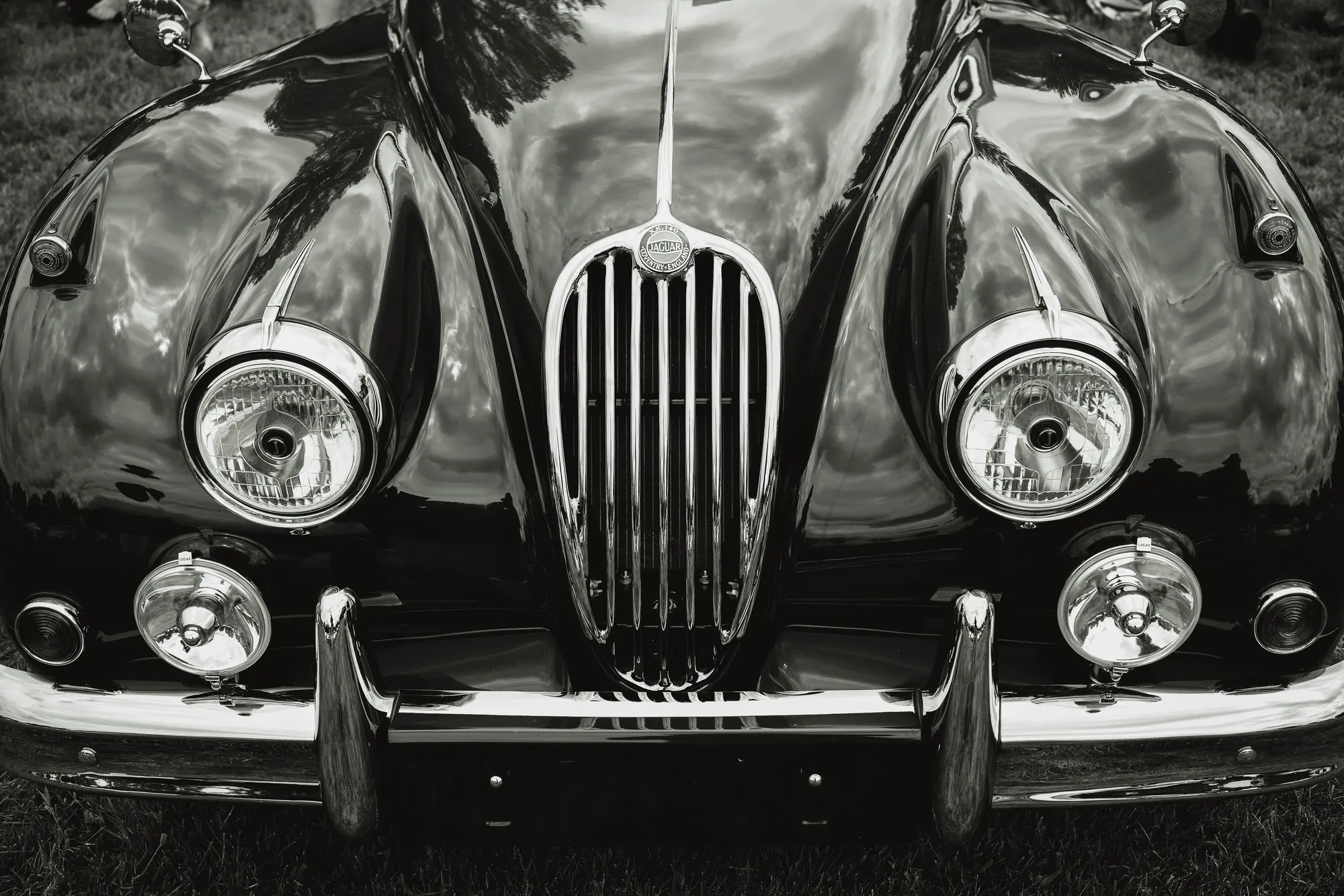Photograph by JW Cooper