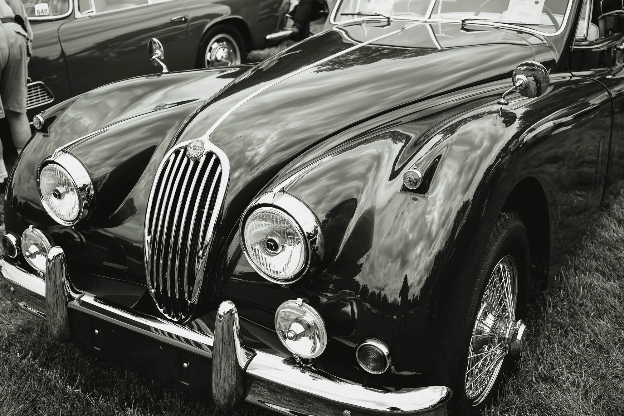Photograph by JW Cooper