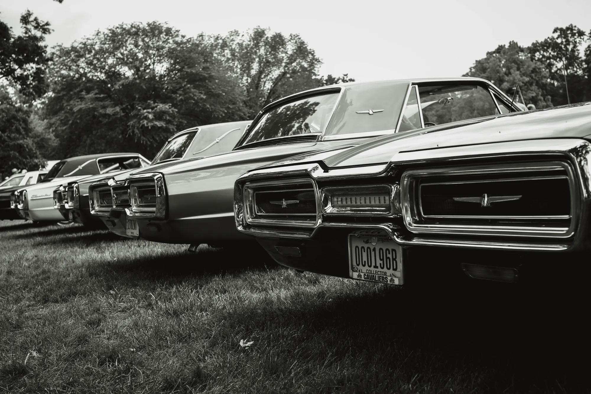 Photograph by JW Cooper