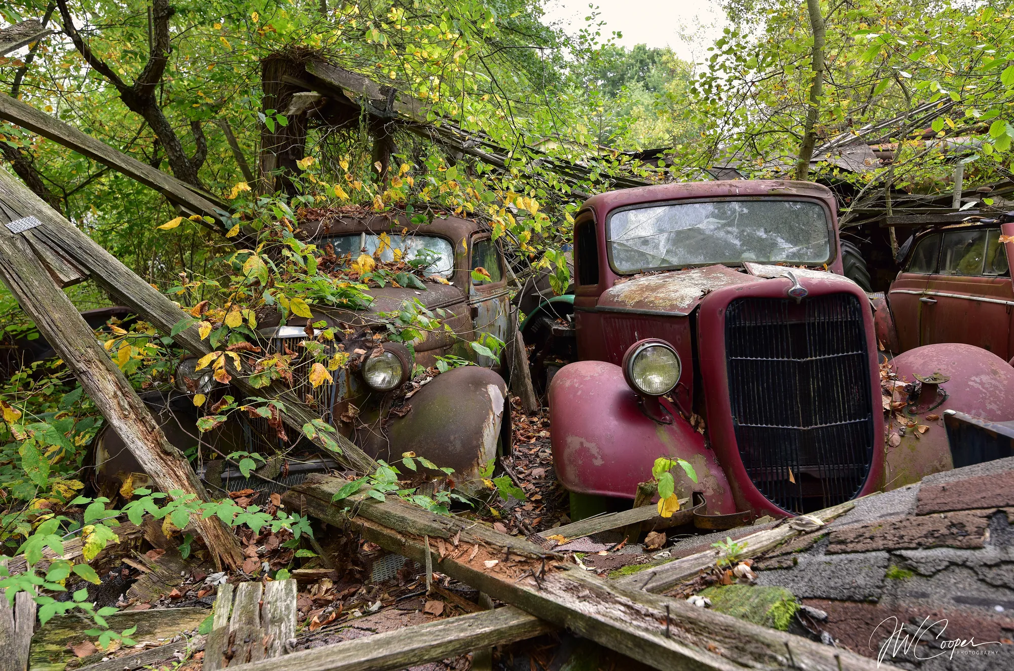 Photograph by JW Cooper