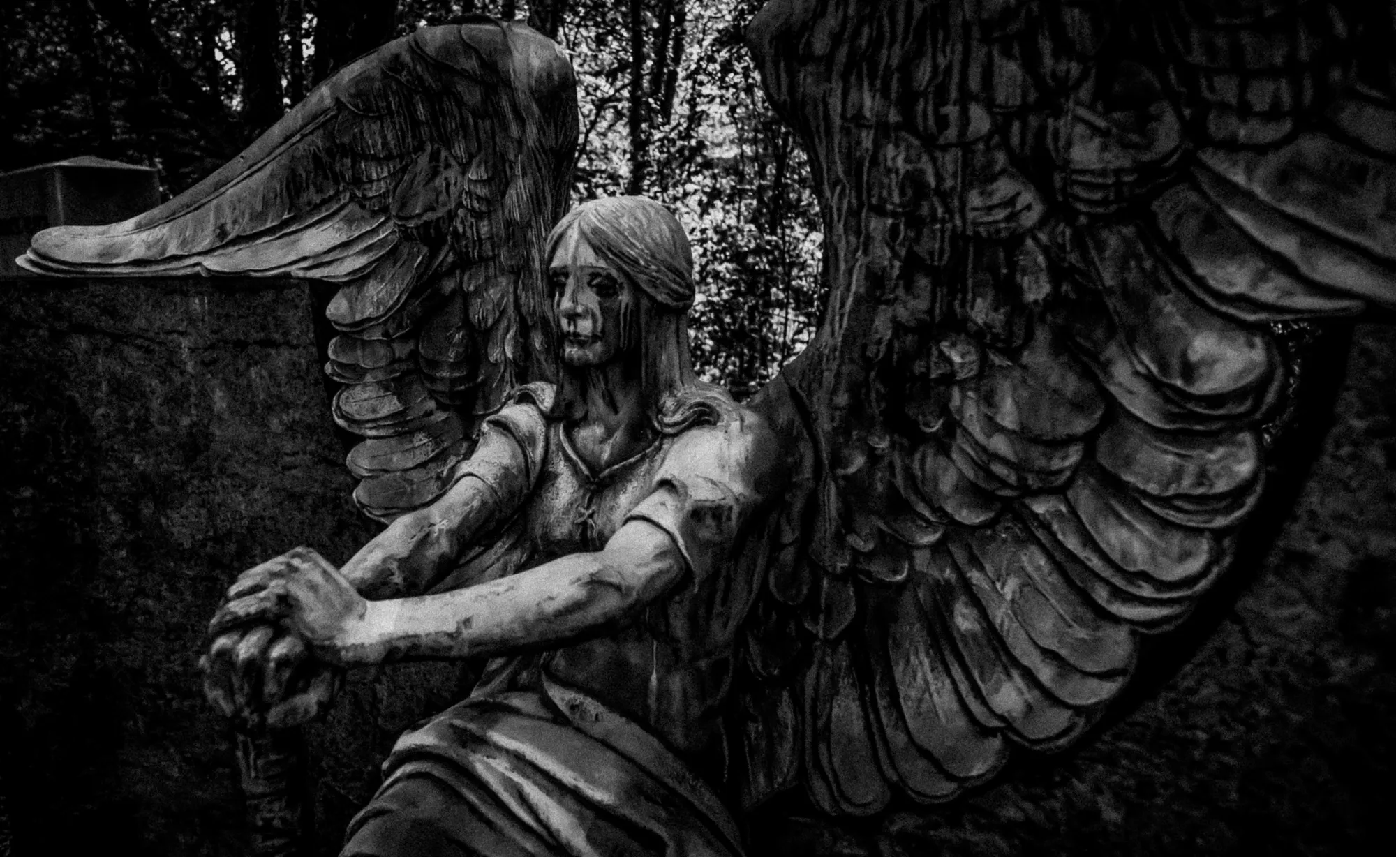 Photograph by JW Cooper
