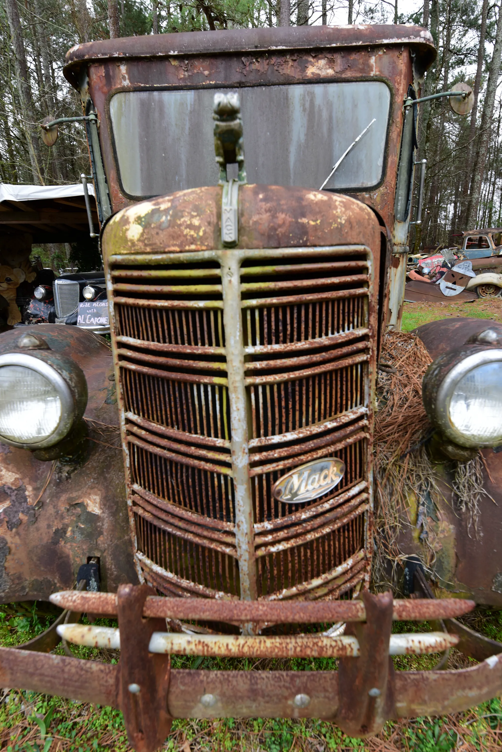 Photograph by JW Cooper