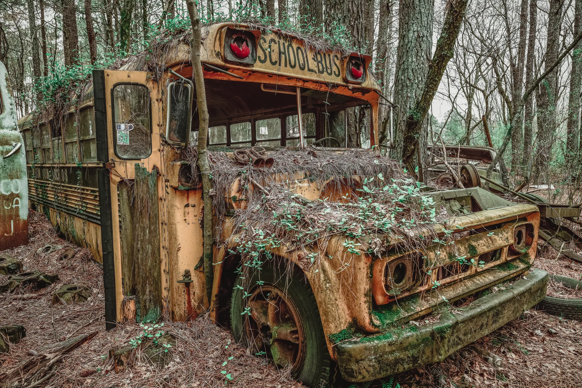 Photograph by JW Cooper