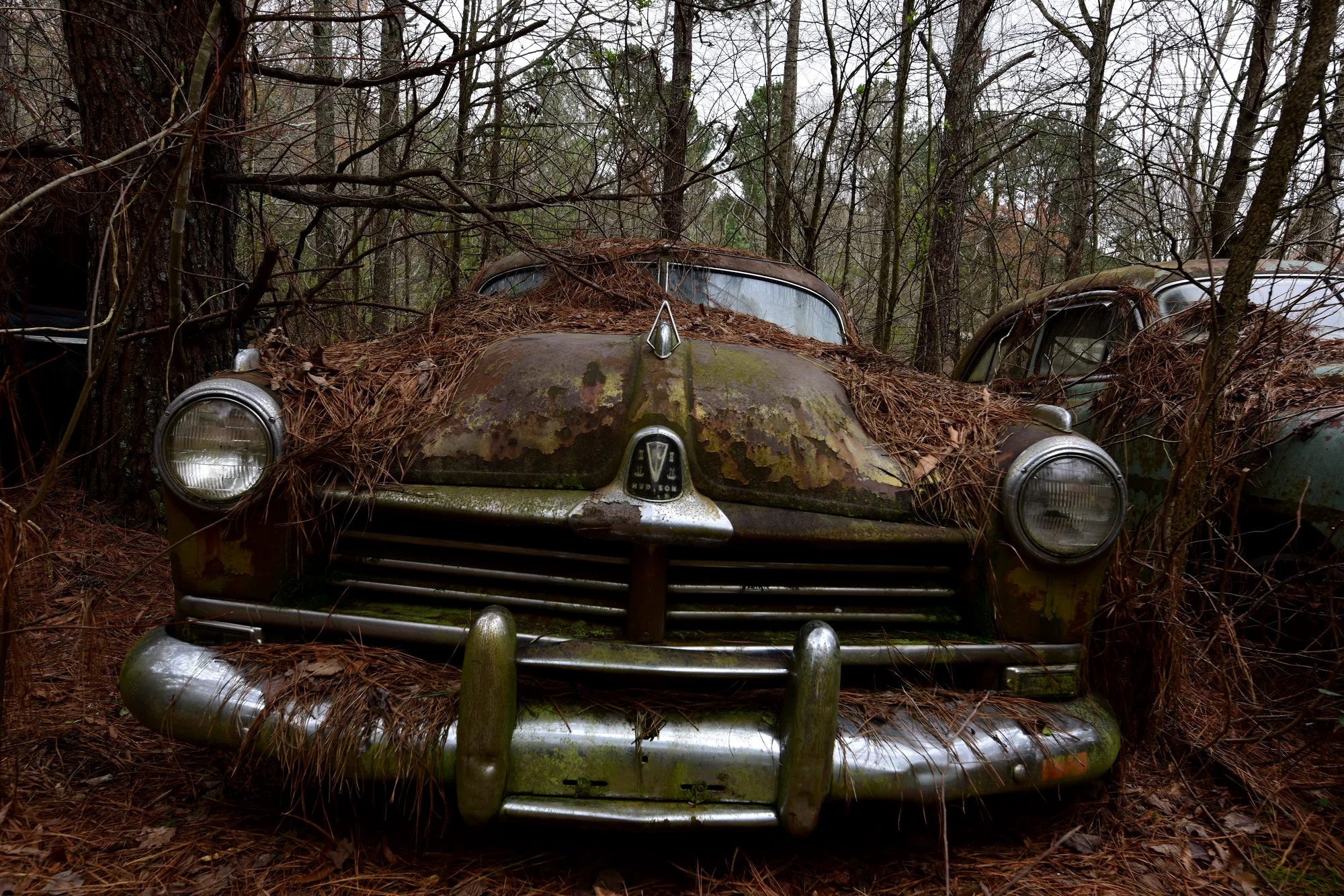 Photograph by JW Cooper