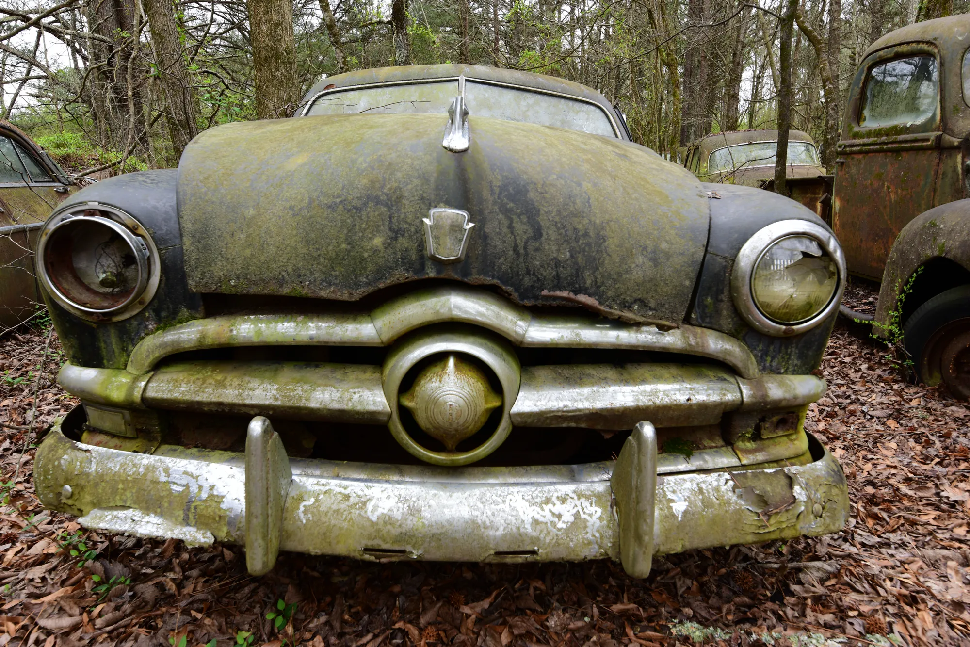 Photograph by JW Cooper