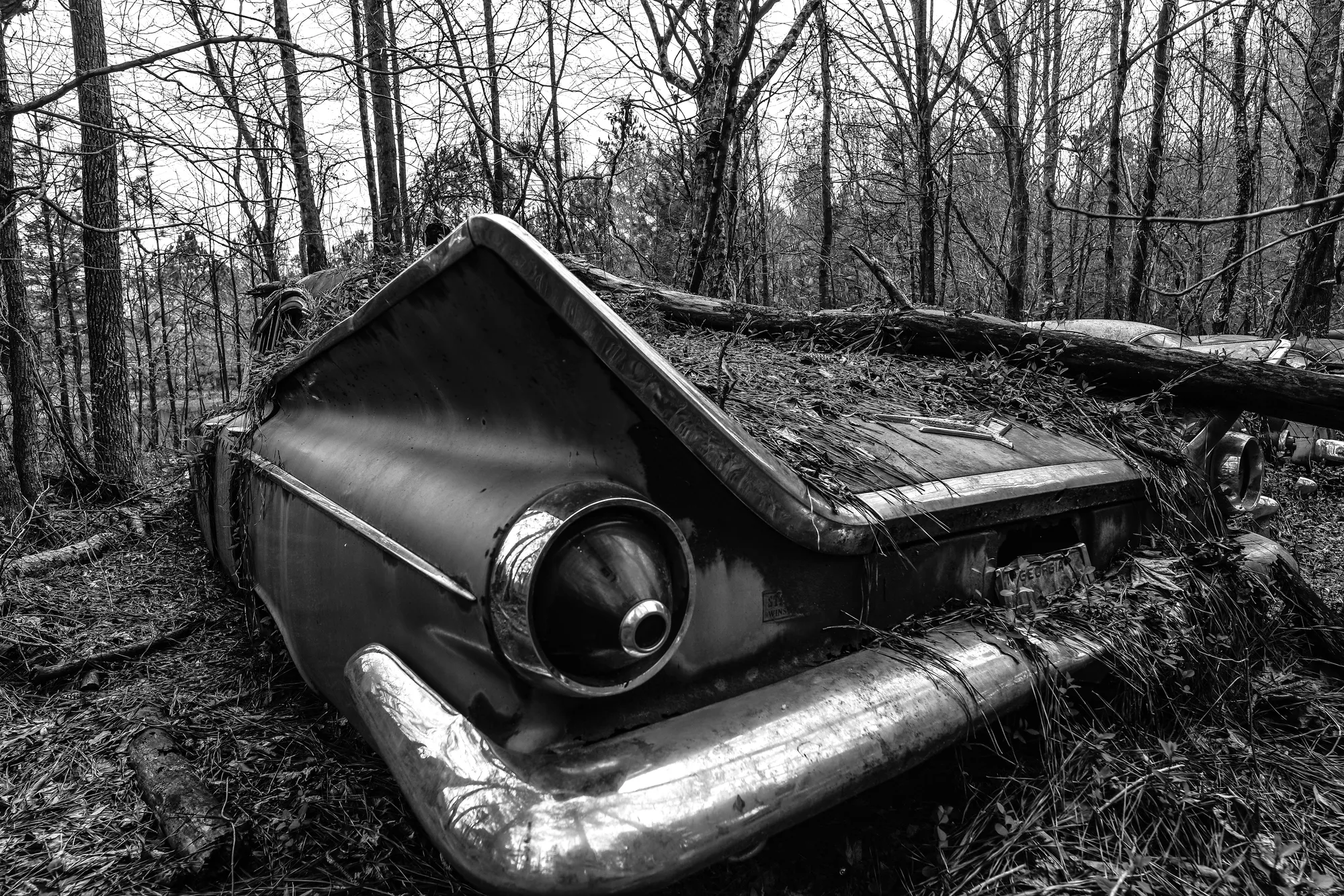 Photograph by JW Cooper