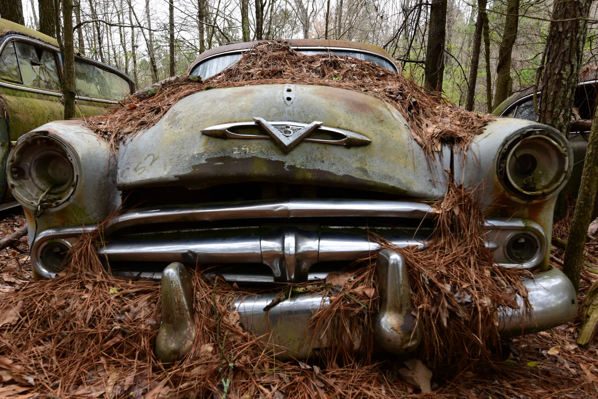 Photograph by JW Cooper