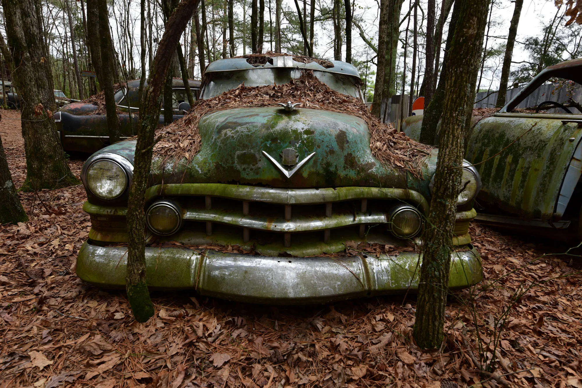 Photograph by JW Cooper