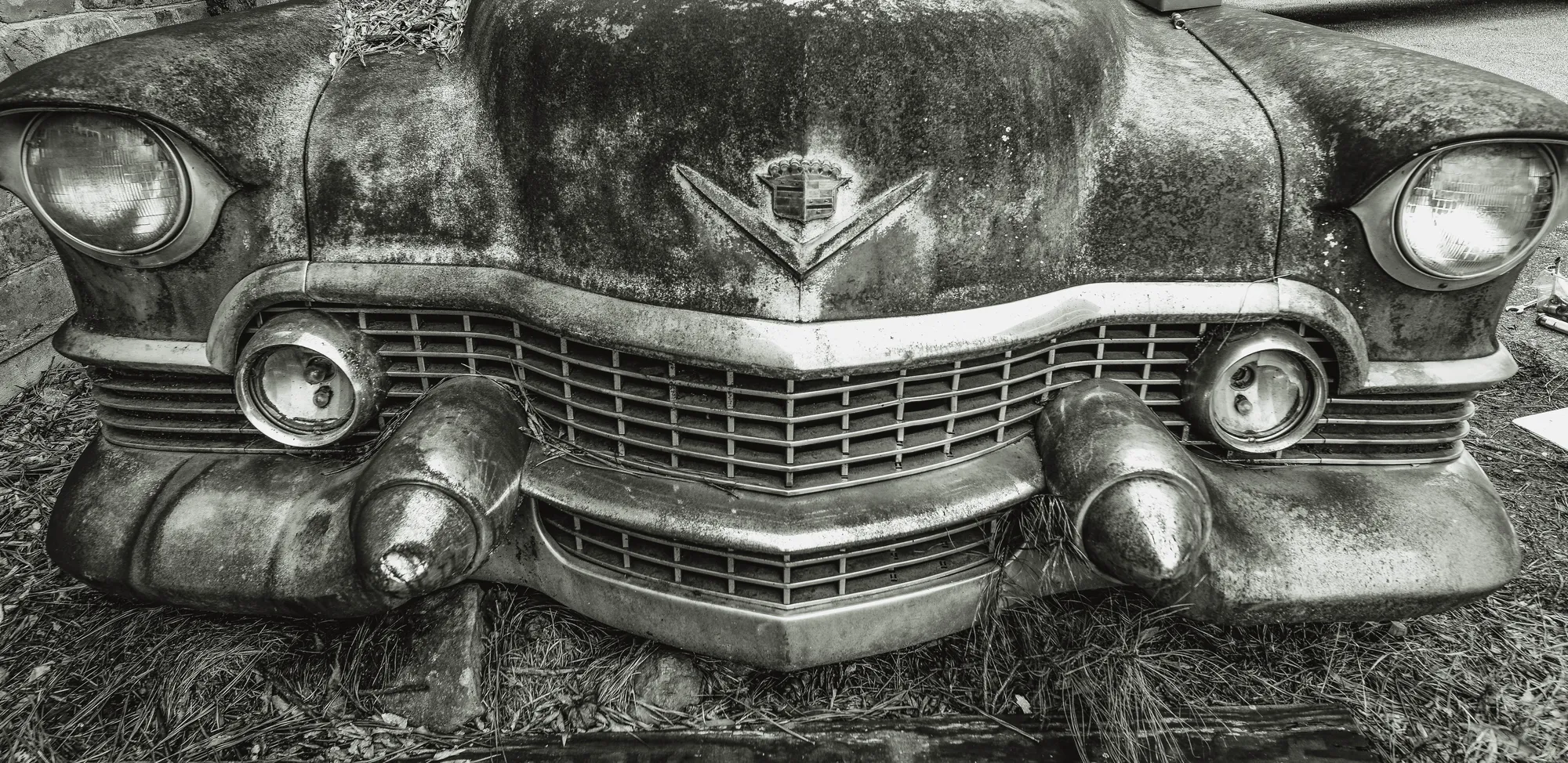 Photograph by JW Cooper