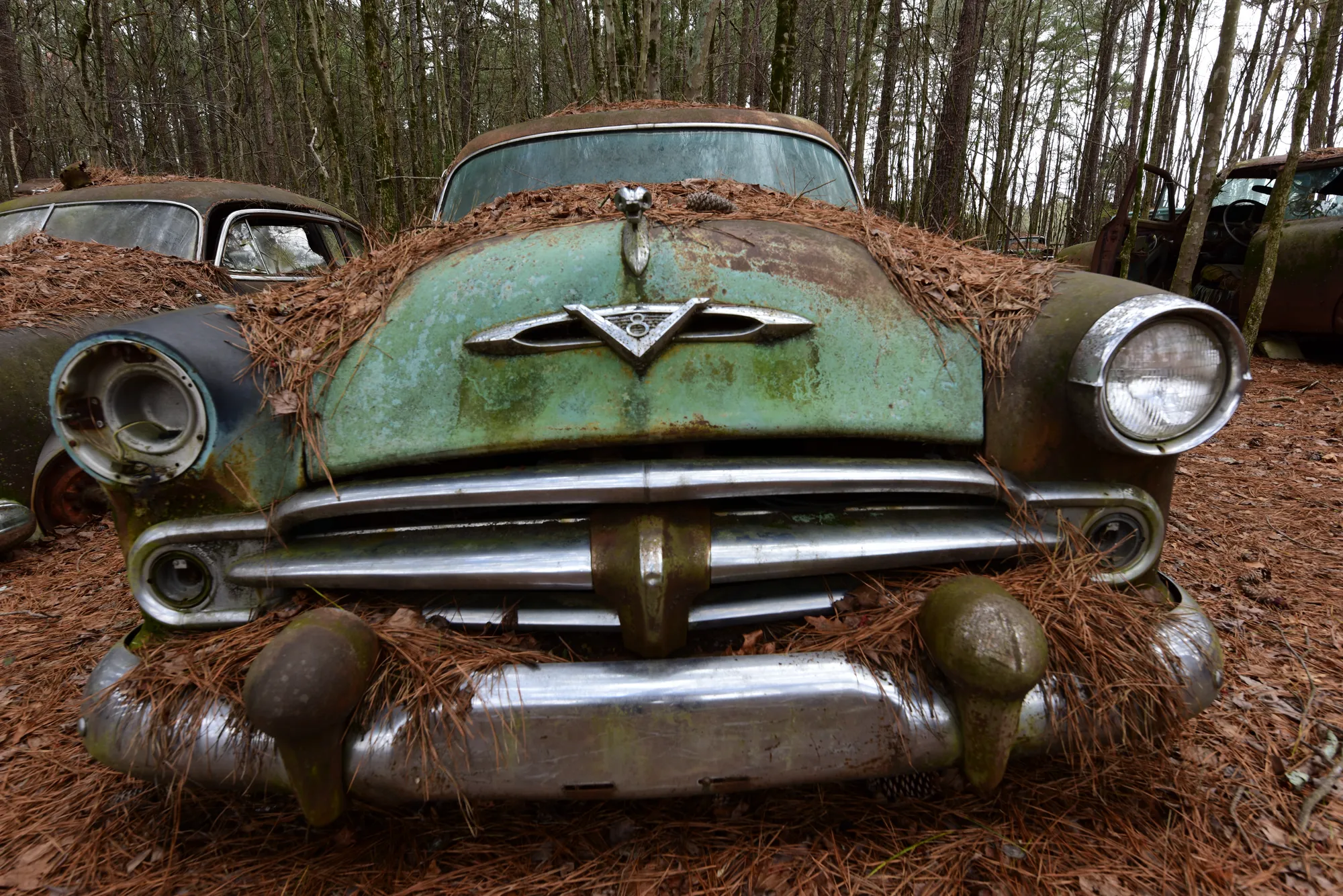 Photograph by JW Cooper