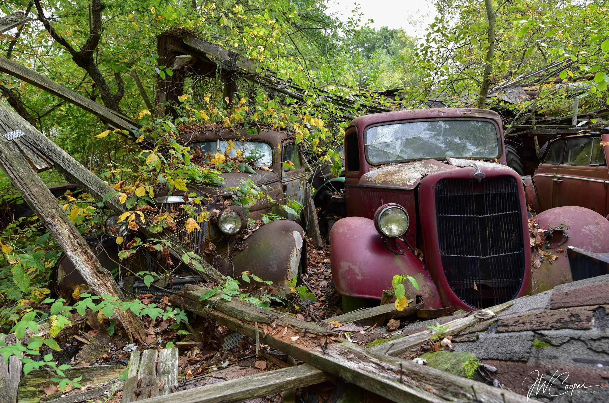 Photograph by JW Cooper