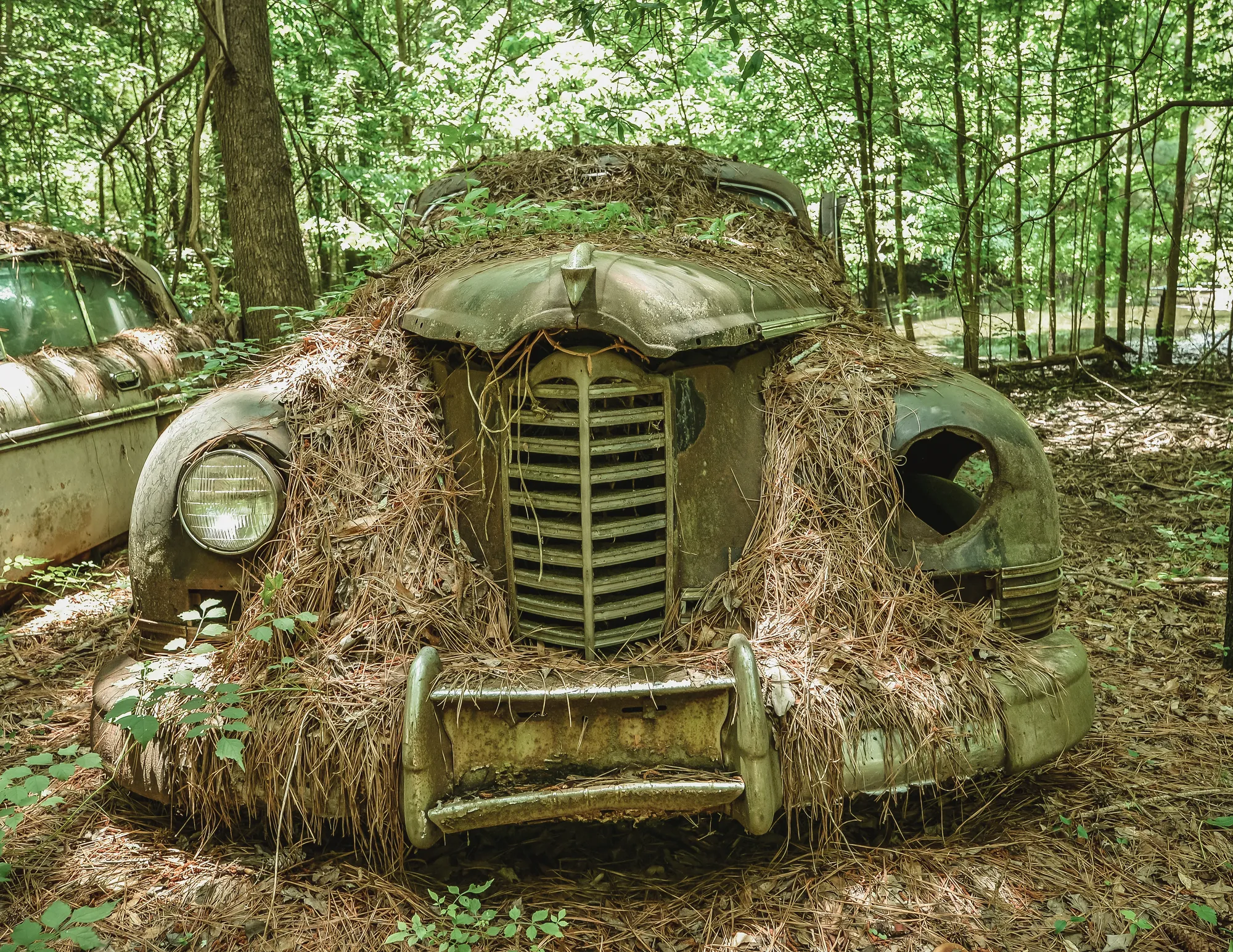 Photograph by JW Cooper