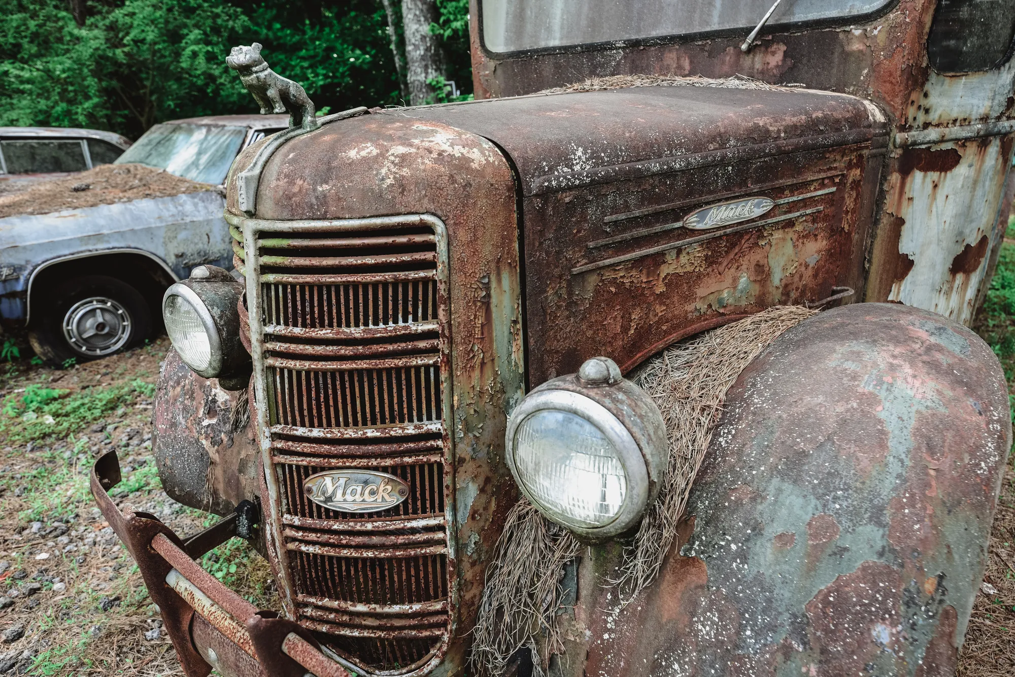 Photograph by JW Cooper