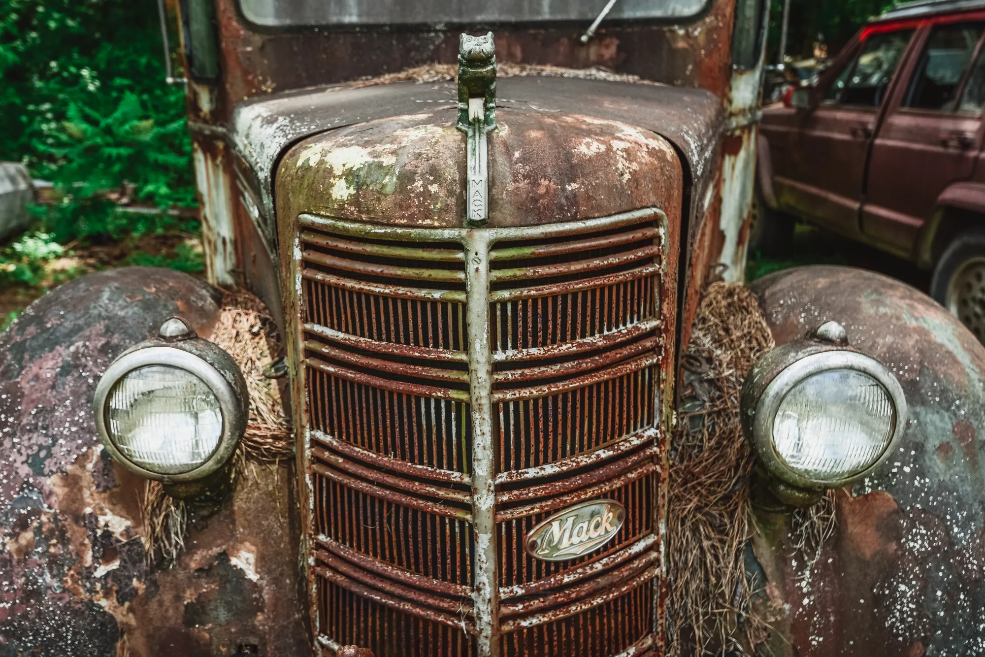 Photograph by JW Cooper