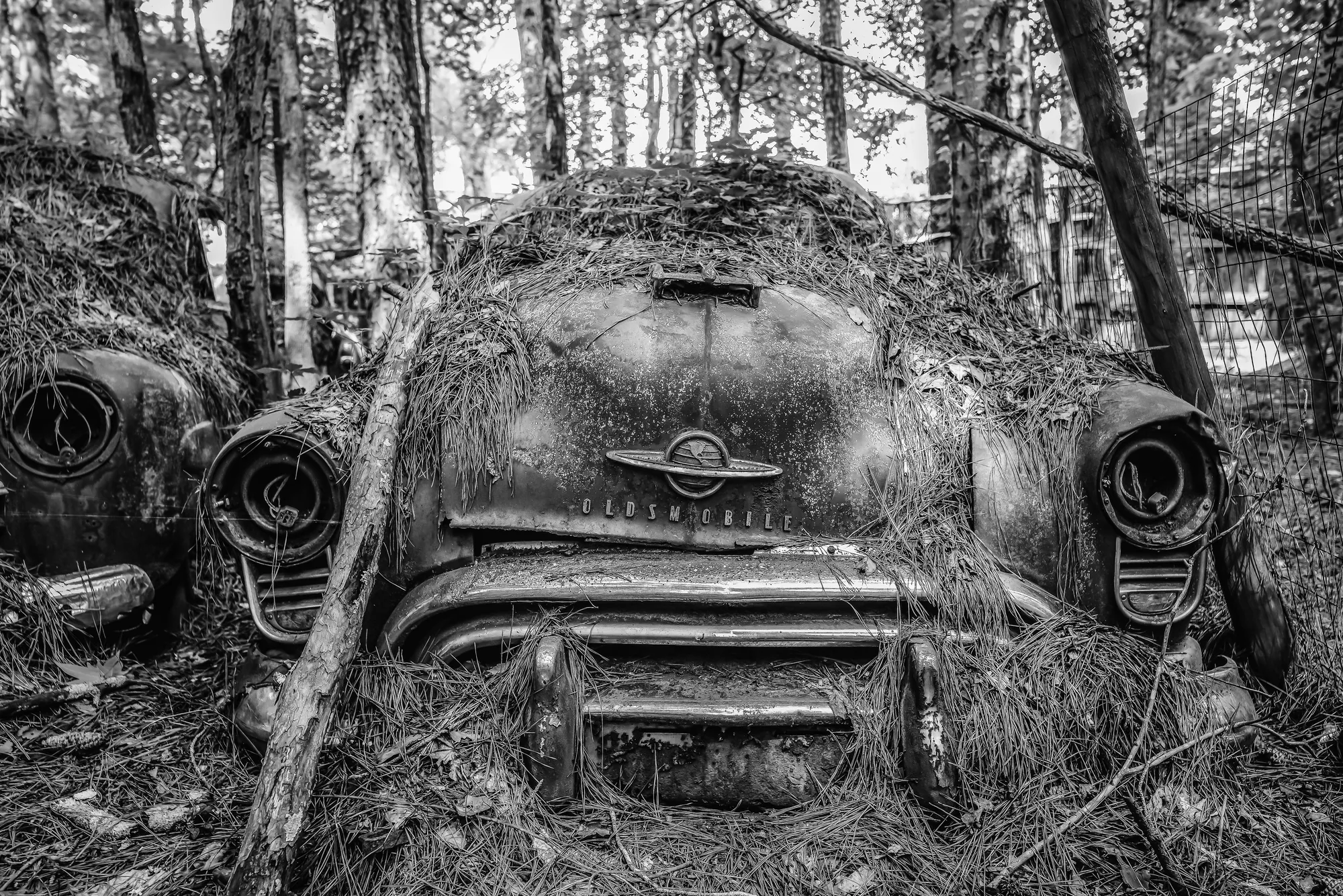 Photograph by JW Cooper