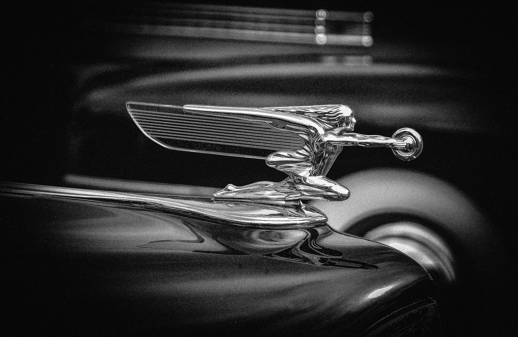 Photograph by JW Cooper