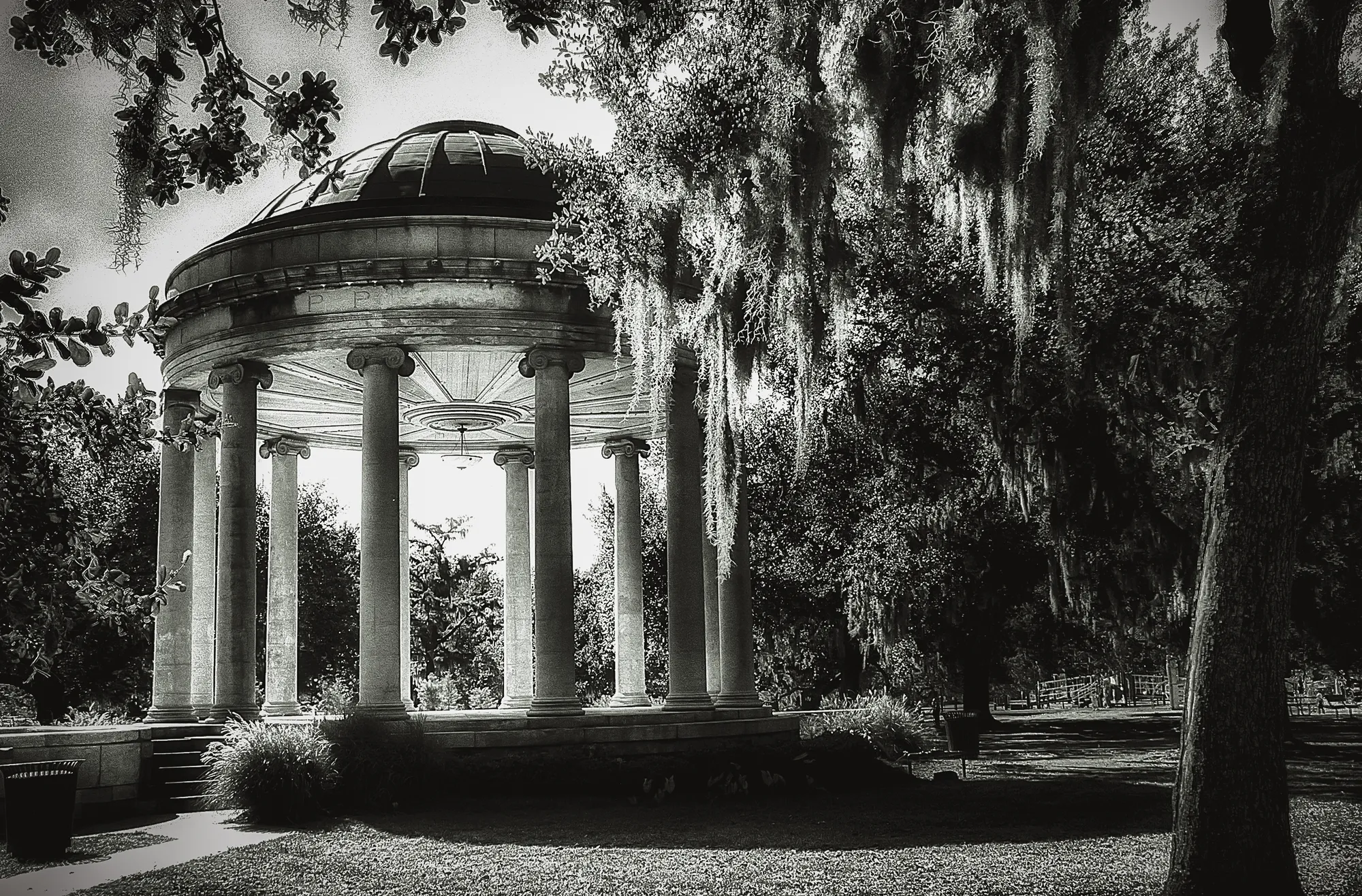 Photograph by JW Cooper