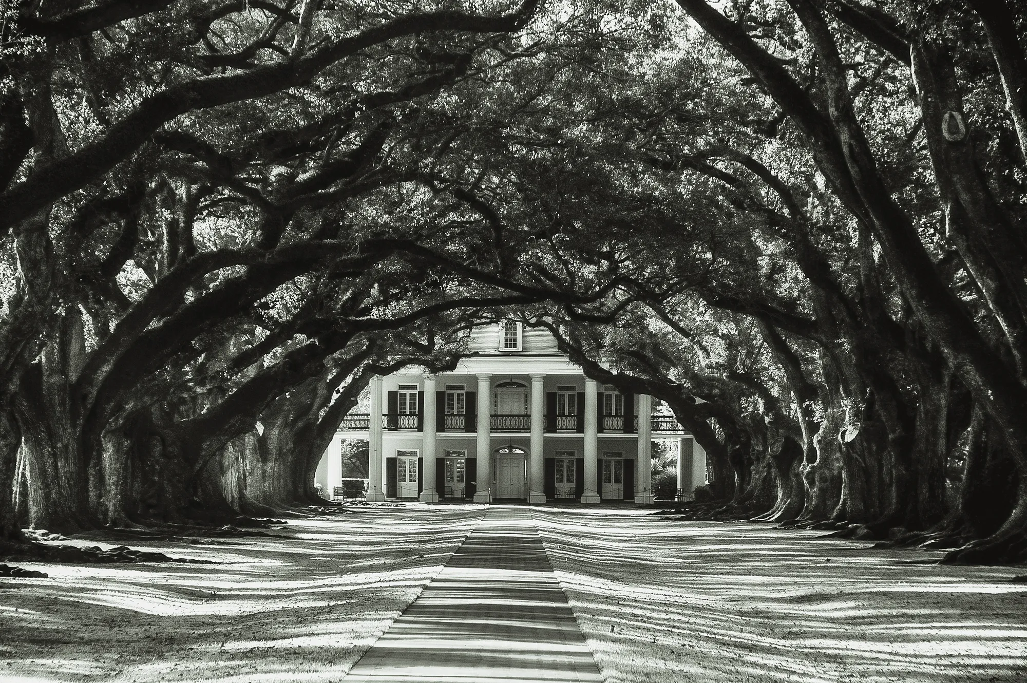 Photograph by JW Cooper