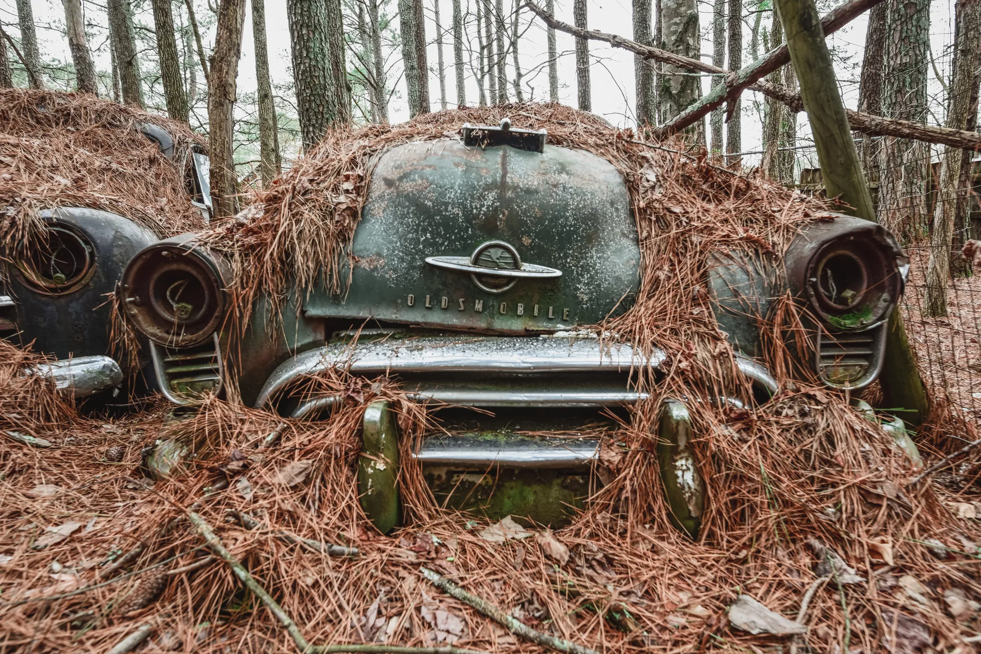 Photograph by JW Cooper