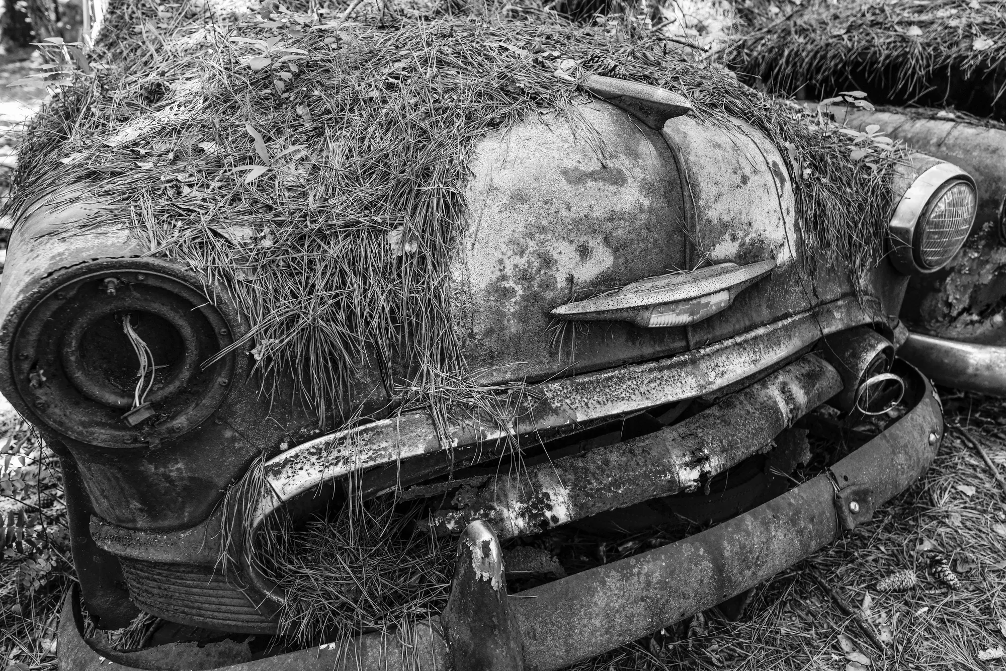 Photograph by JW Cooper