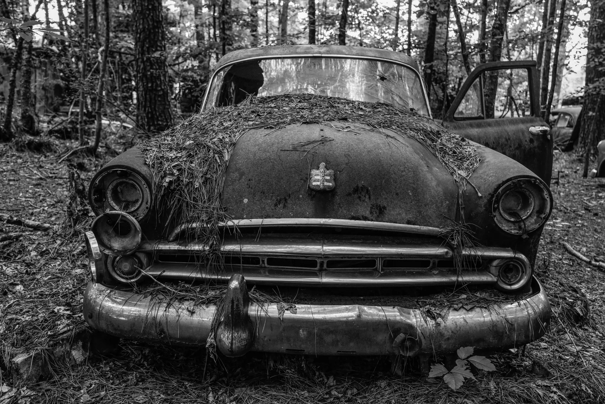 Photograph by JW Cooper