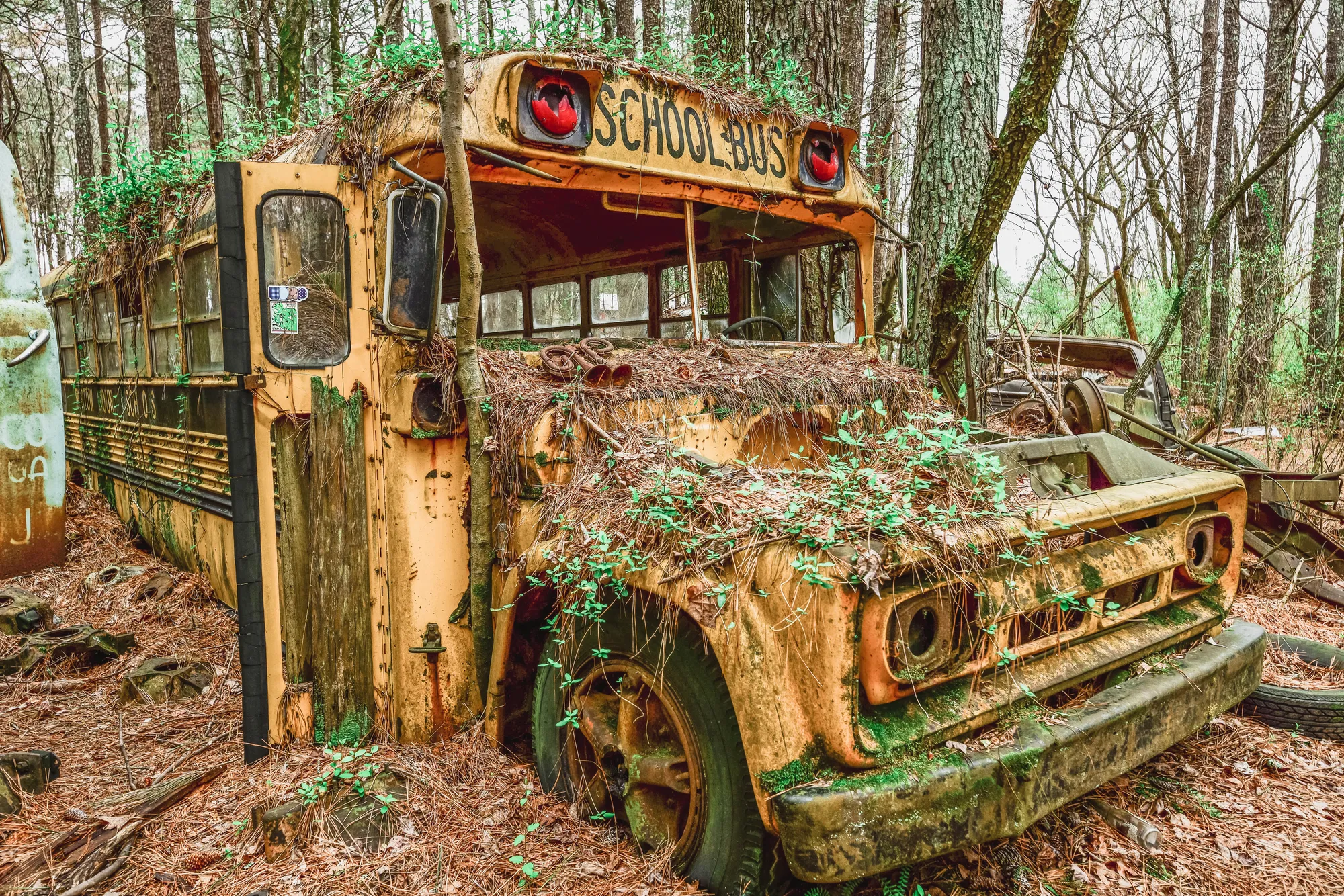 Photograph by JW Cooper