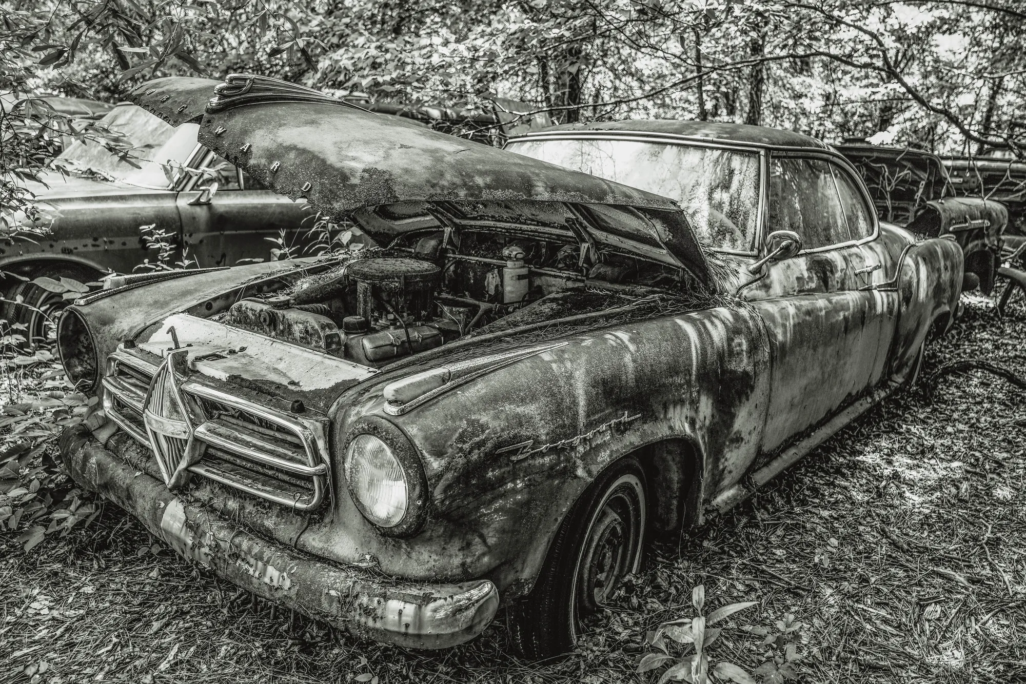 Photograph by JW Cooper