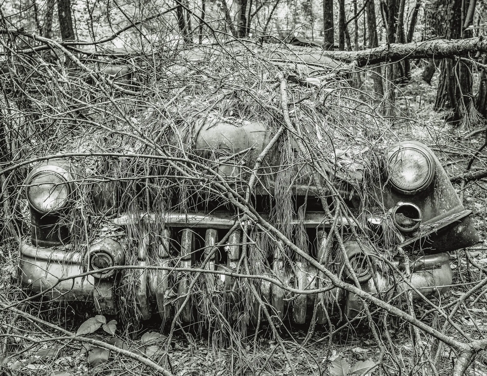Photograph by JW Cooper