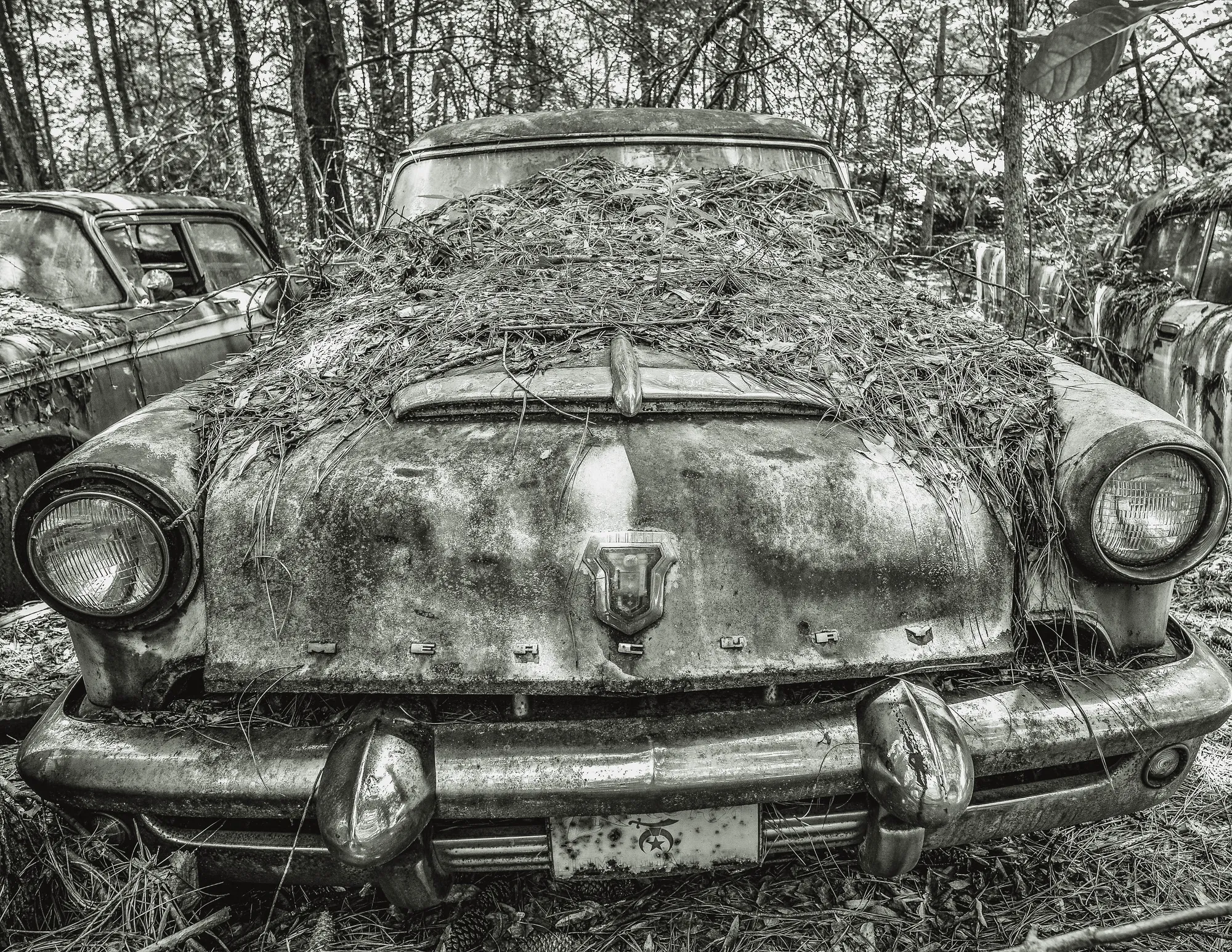 Photograph by JW Cooper