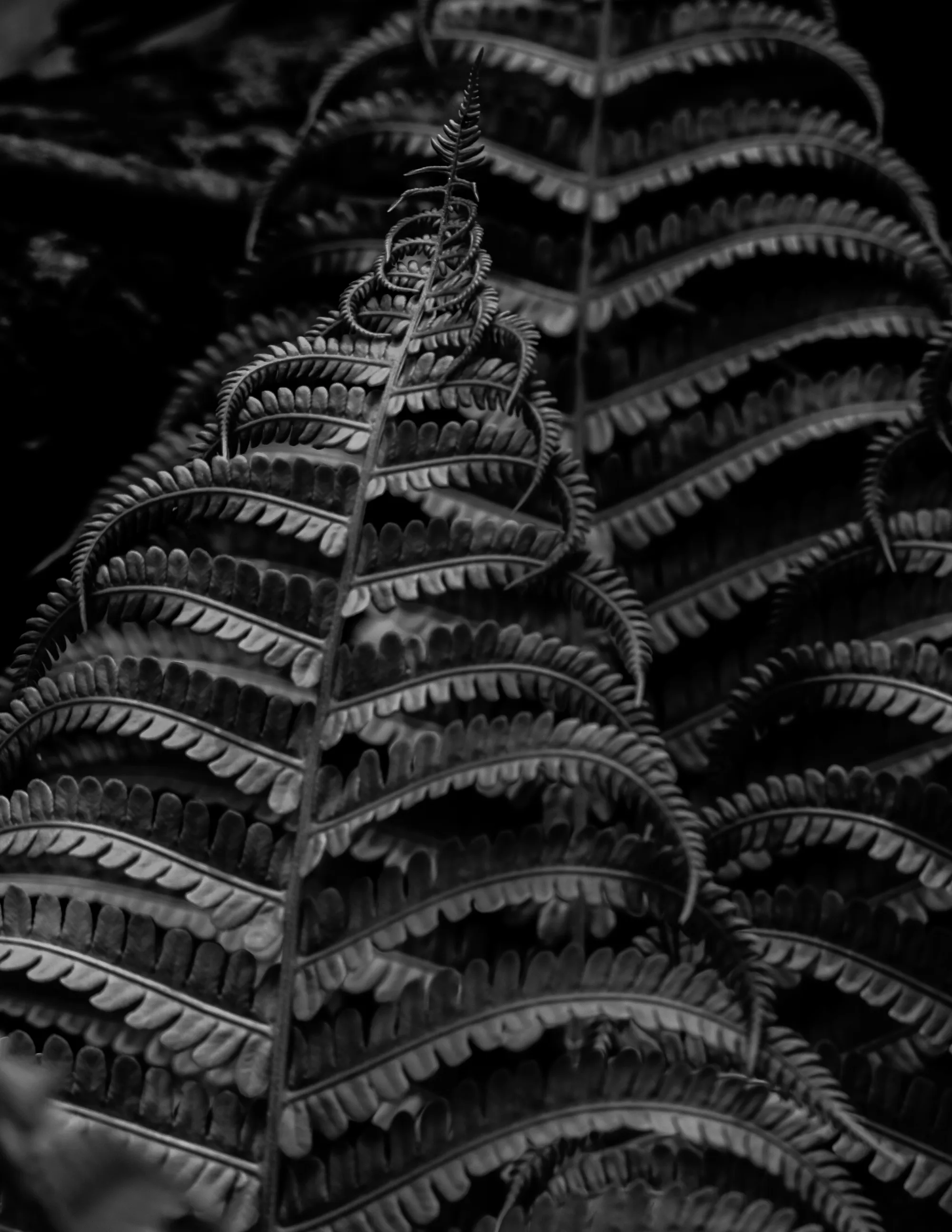 Photograph by JW Cooper