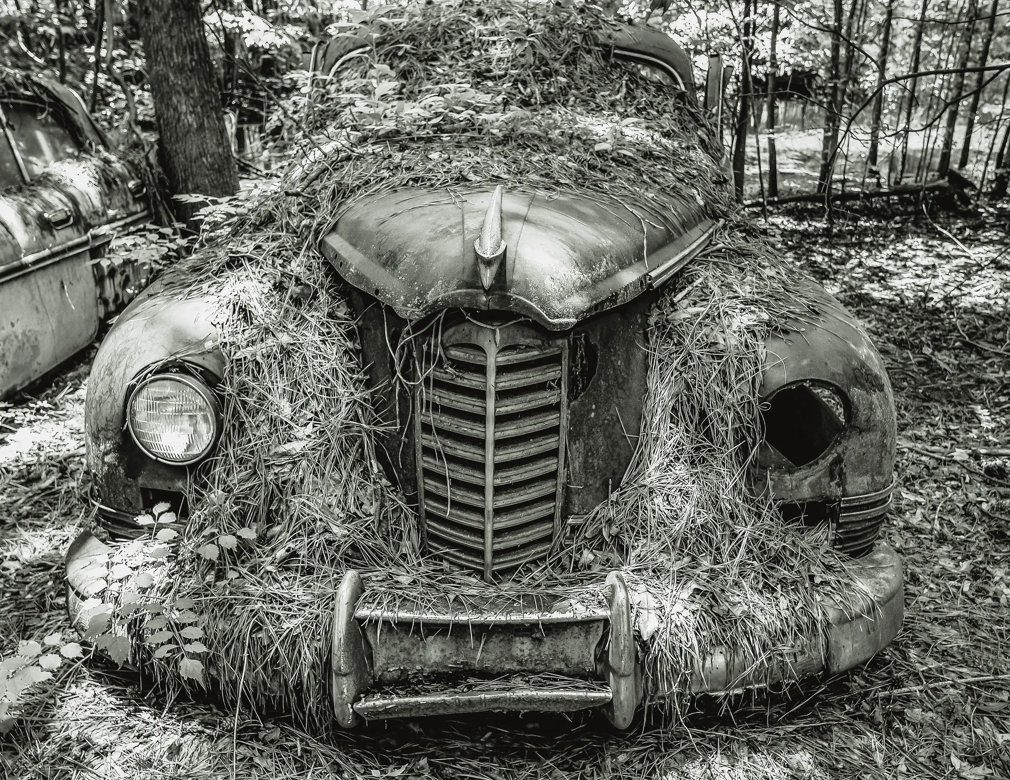 Photograph by JW Cooper