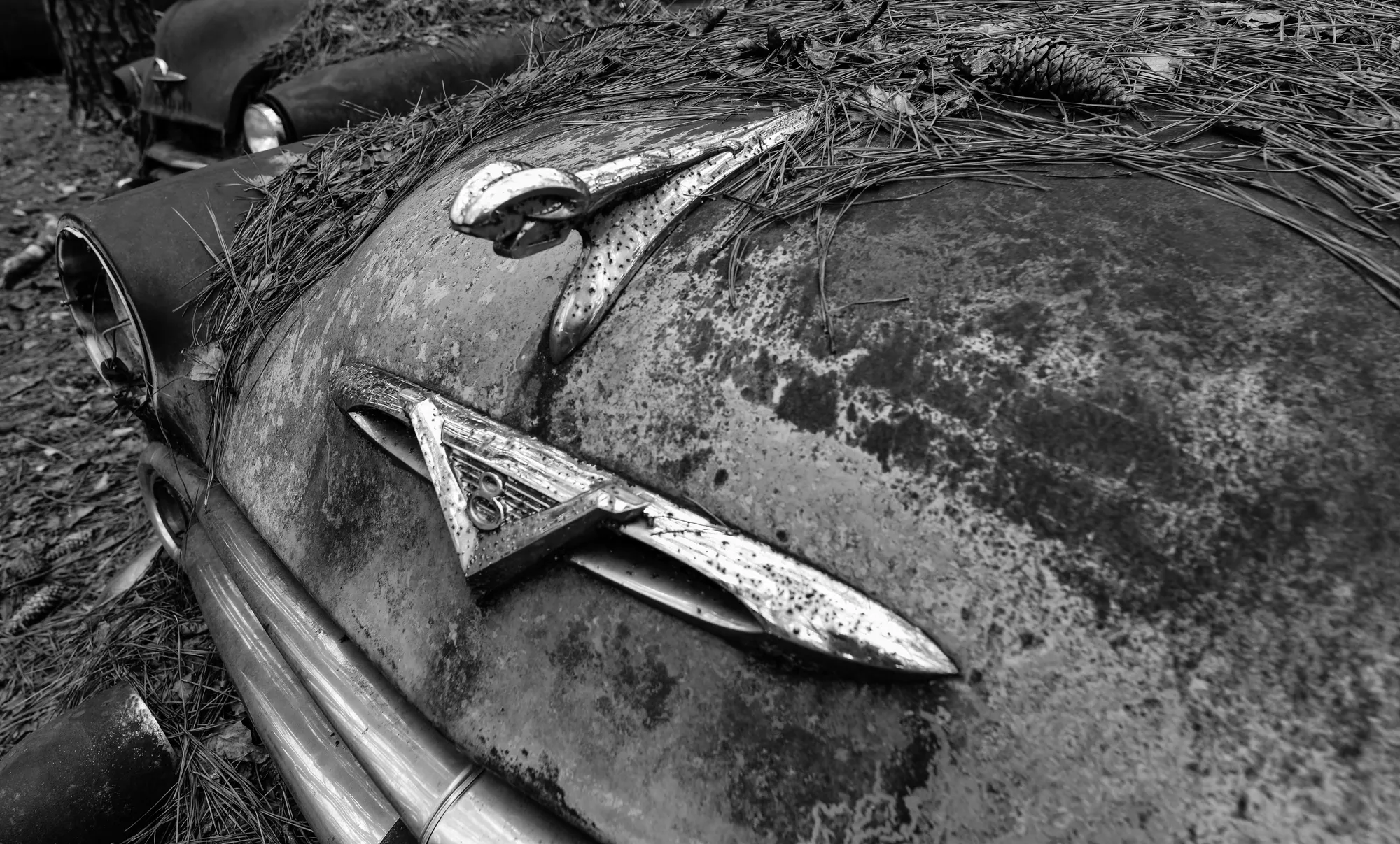 Photograph by JW Cooper