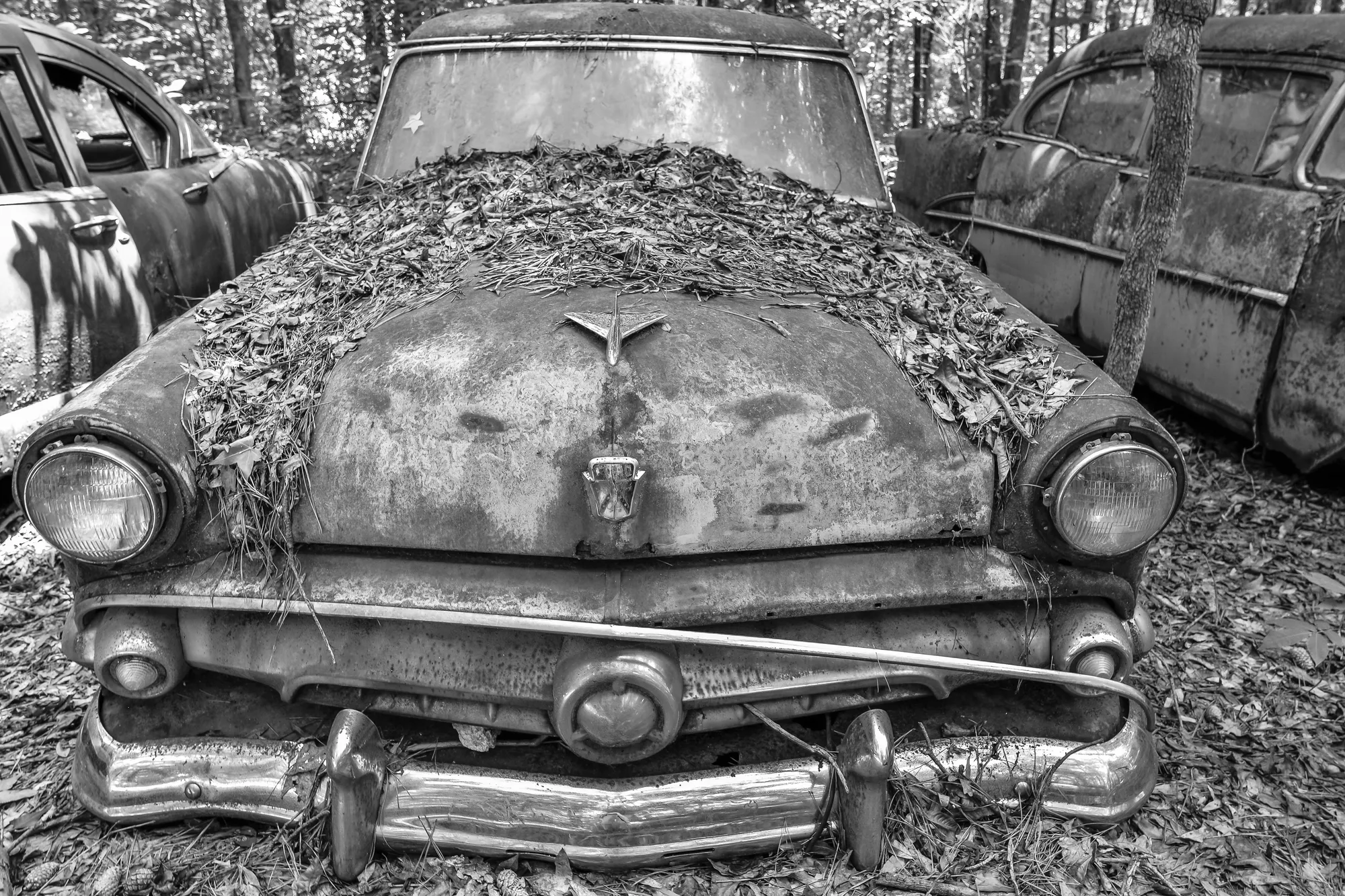 Photograph by JW Cooper