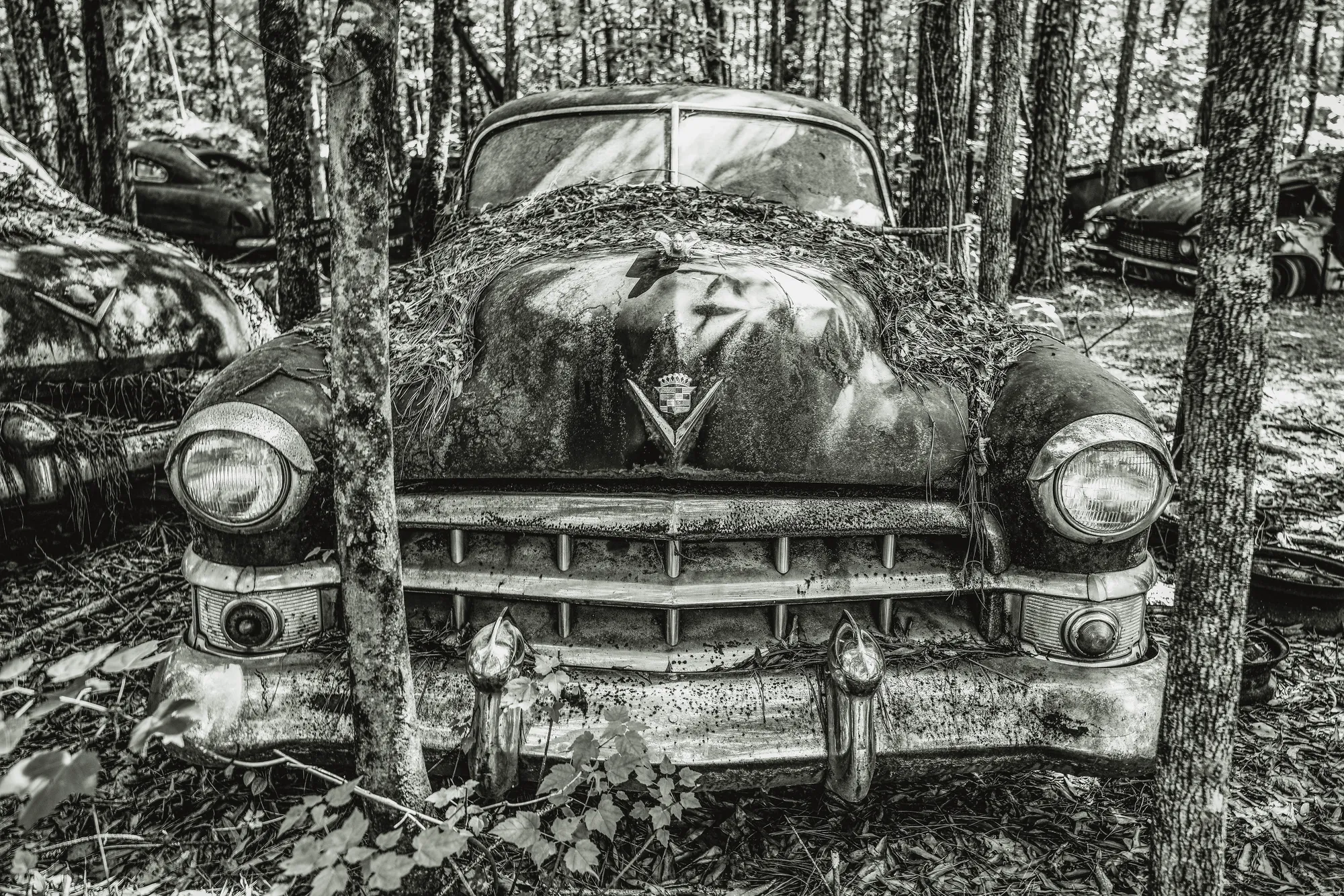 Photograph by JW Cooper