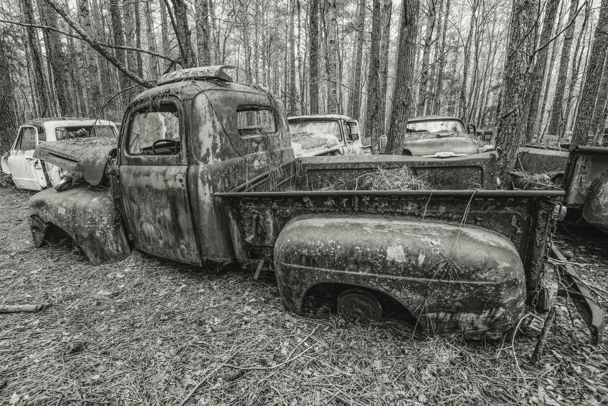 Photograph by JW Cooper