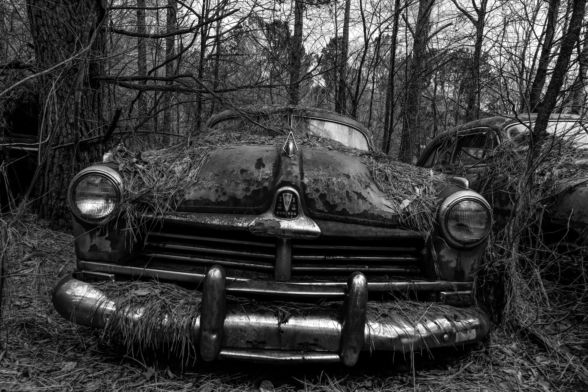 Photograph by JW Cooper