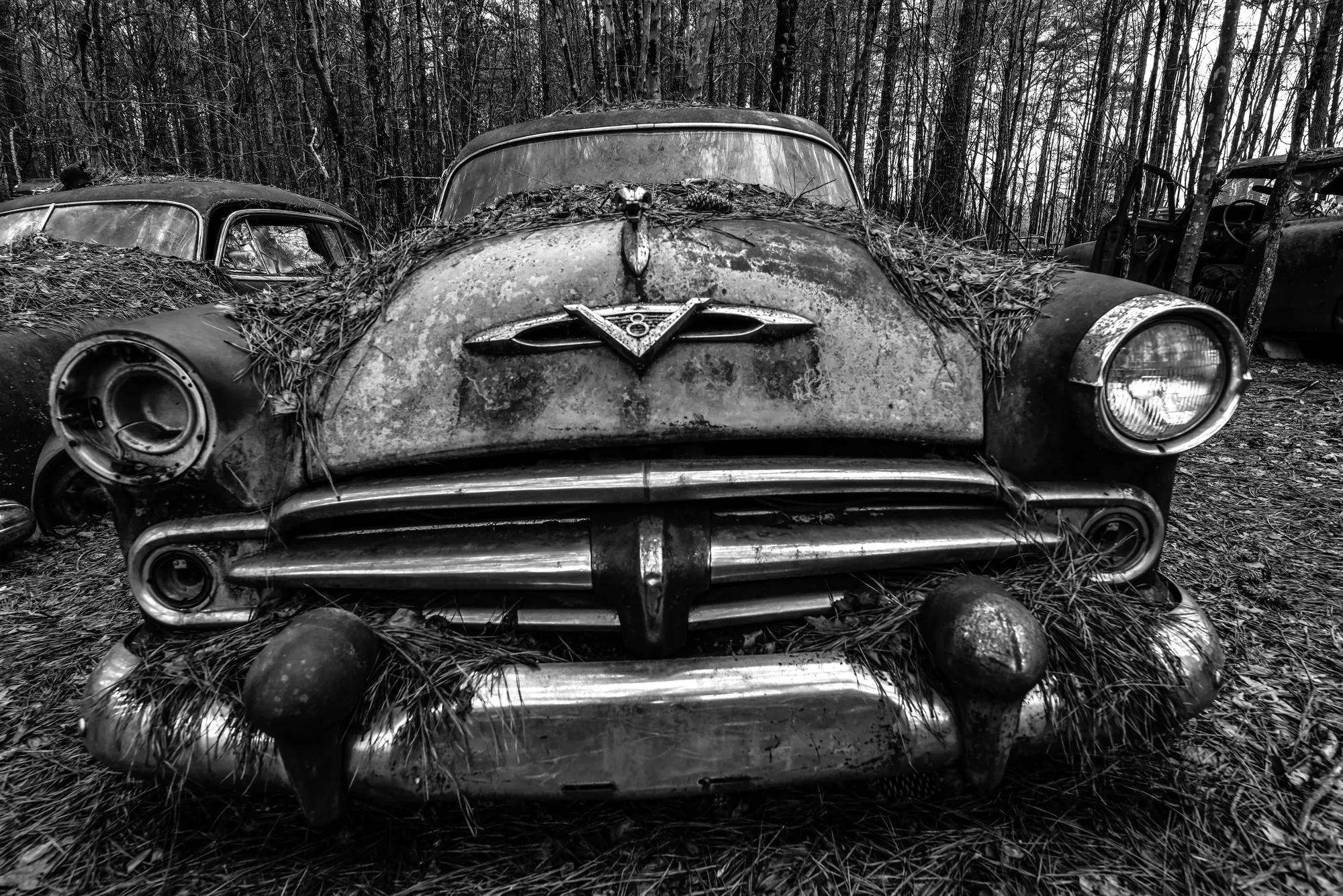 Photograph by JW Cooper